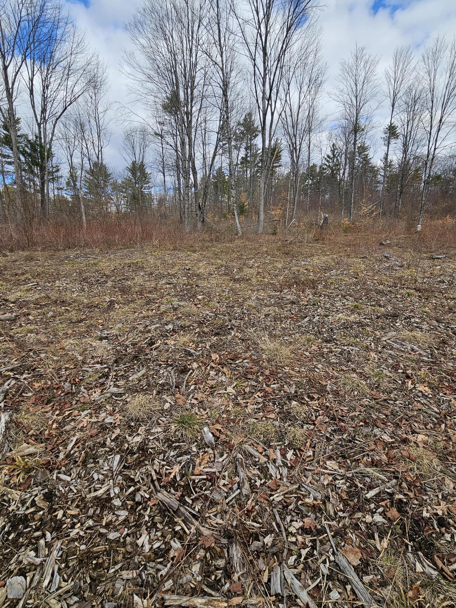 Lot 113-2 Cushman Road, Winslow, ME, 04901