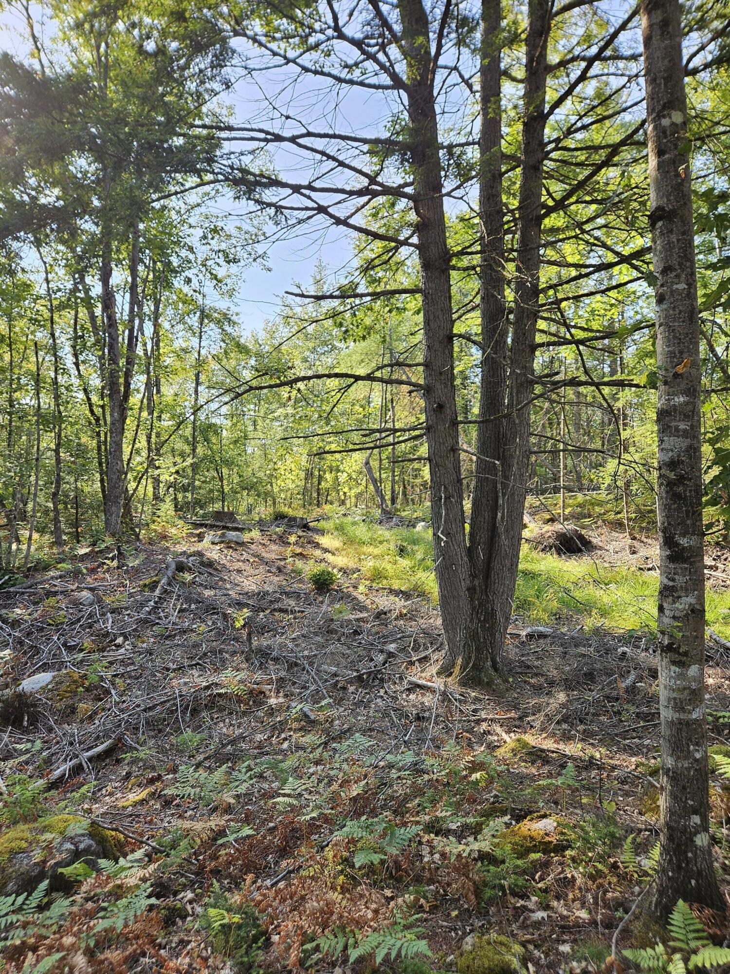 2 Goose River Estates, Swanville, ME, 04915 2 Goose River Estates, Swanville, ME, 04915