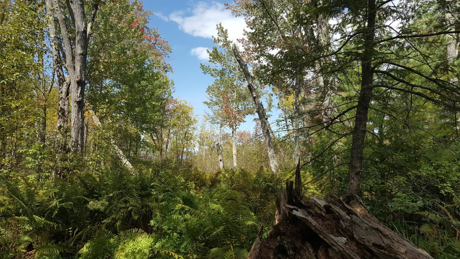 M4 96 & 99 Parker Pond Road, Jay, ME, 04239