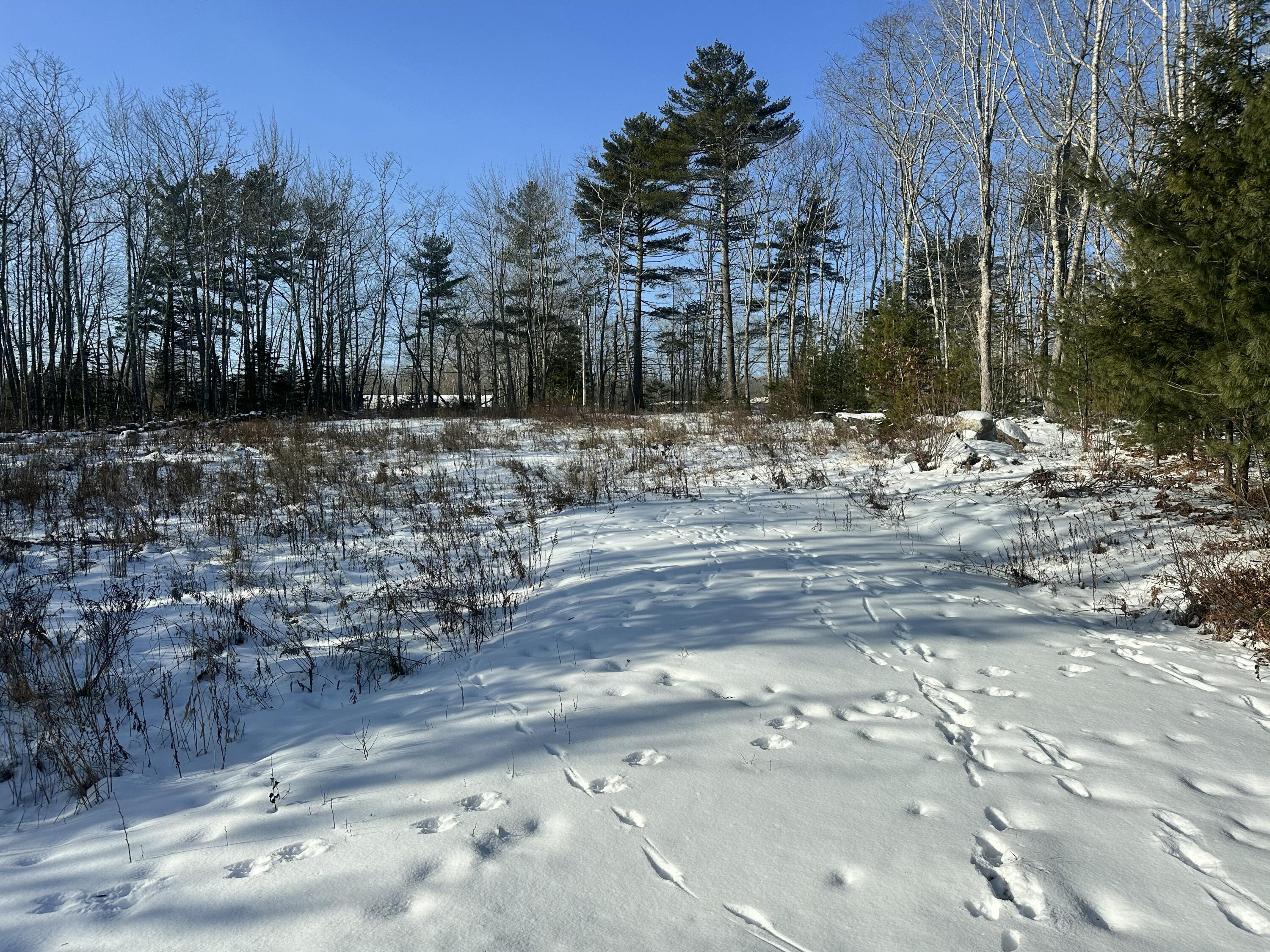 Understanding the Midcoast Maine Real Estate Market