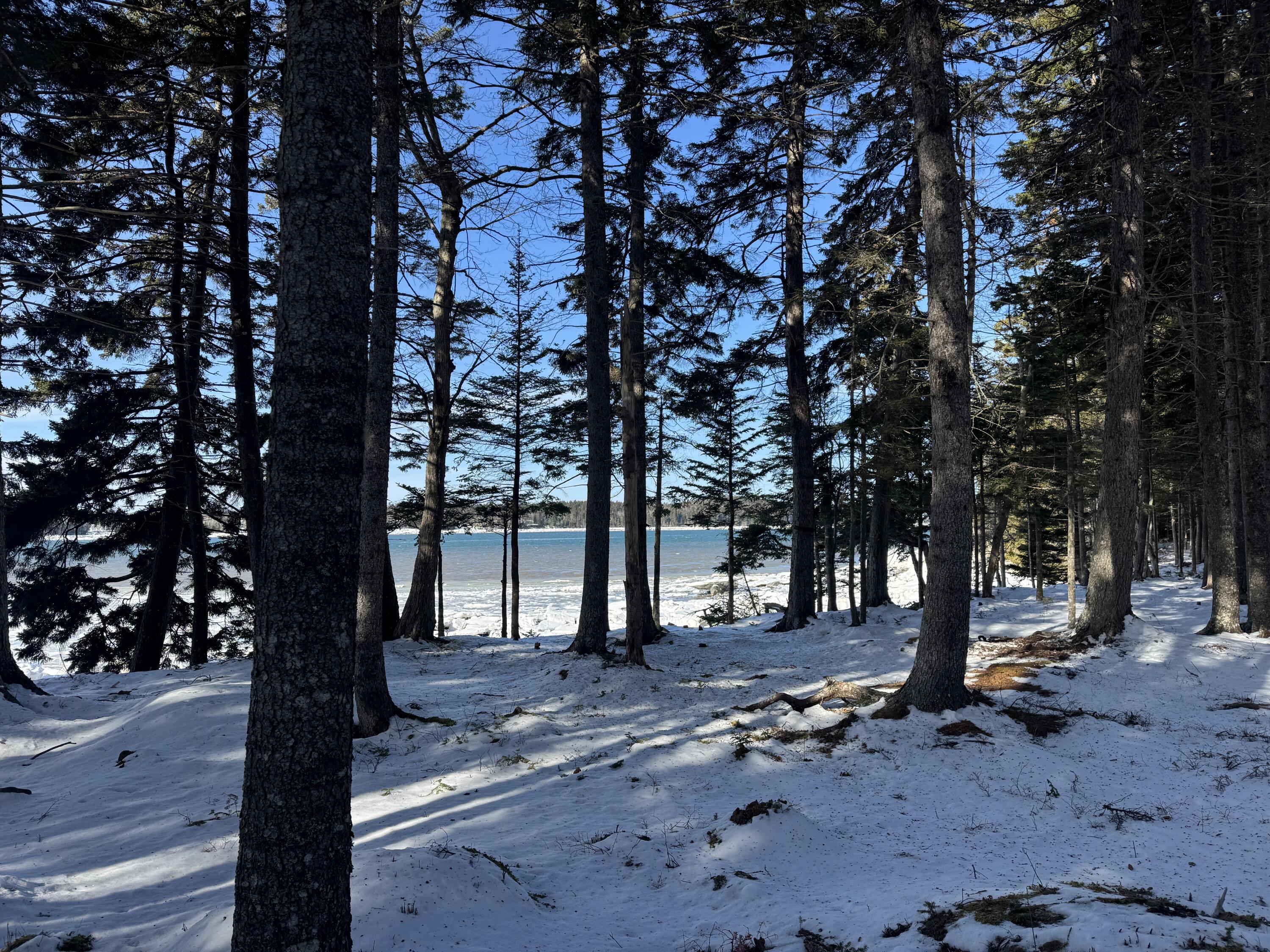 Lot B Fort Williams Road, Harrington, ME, 04643