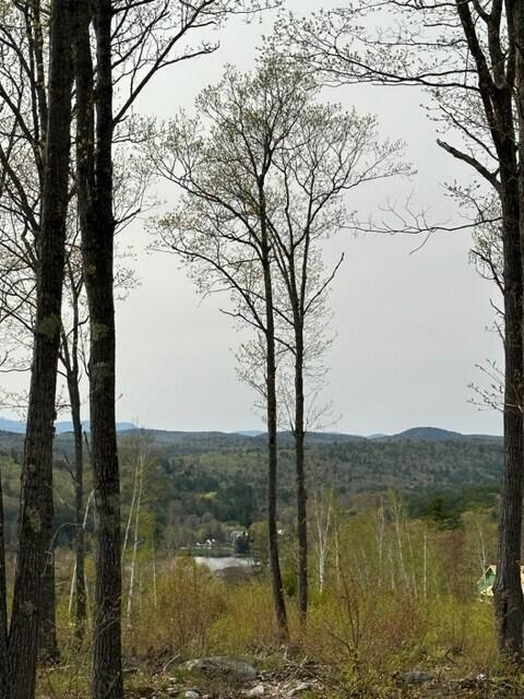 Lot 17 Birch Circle, Harrison, ME, 04040