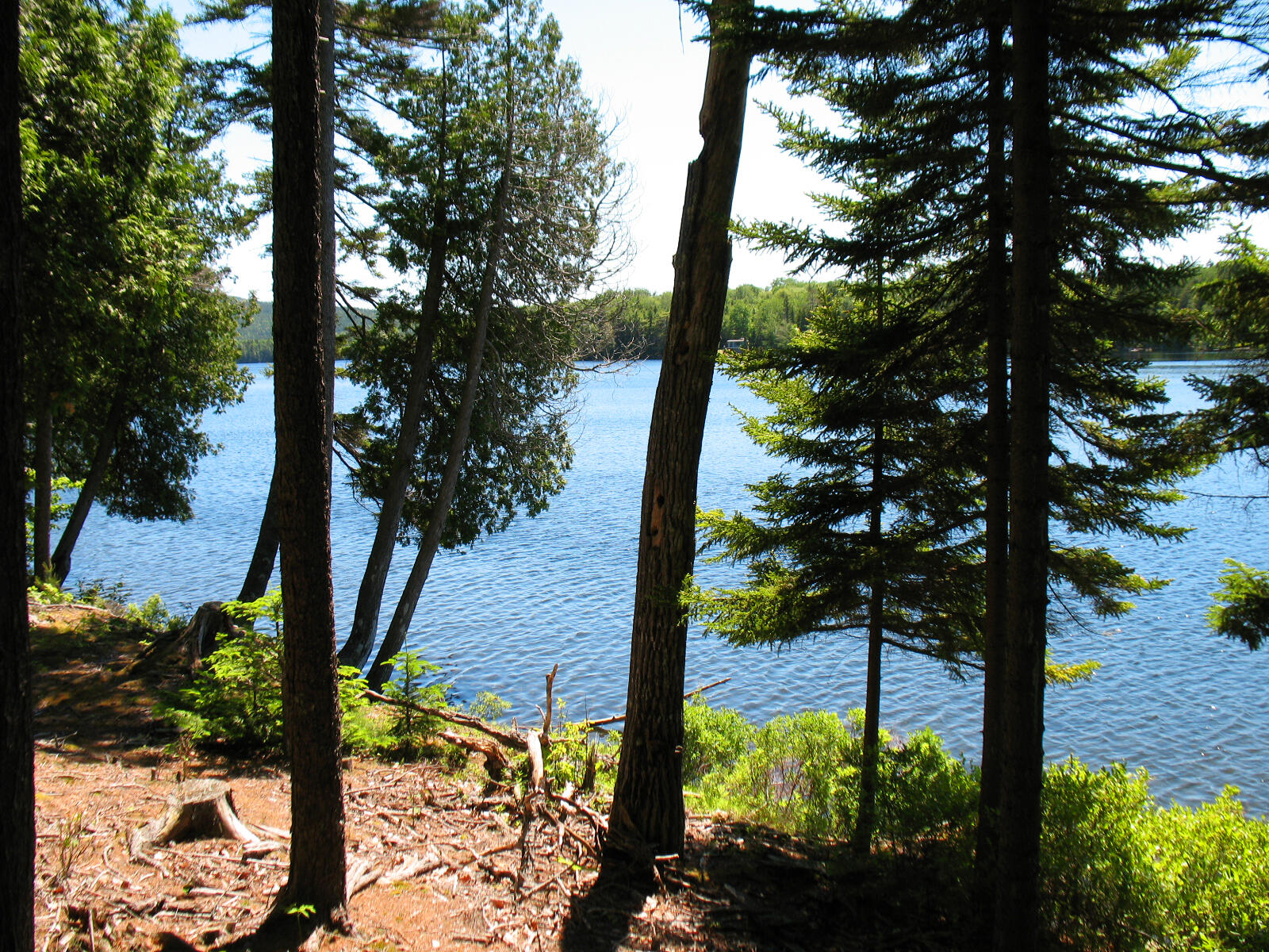 10-6 Vista Way, Mount Desert, ME, 04660