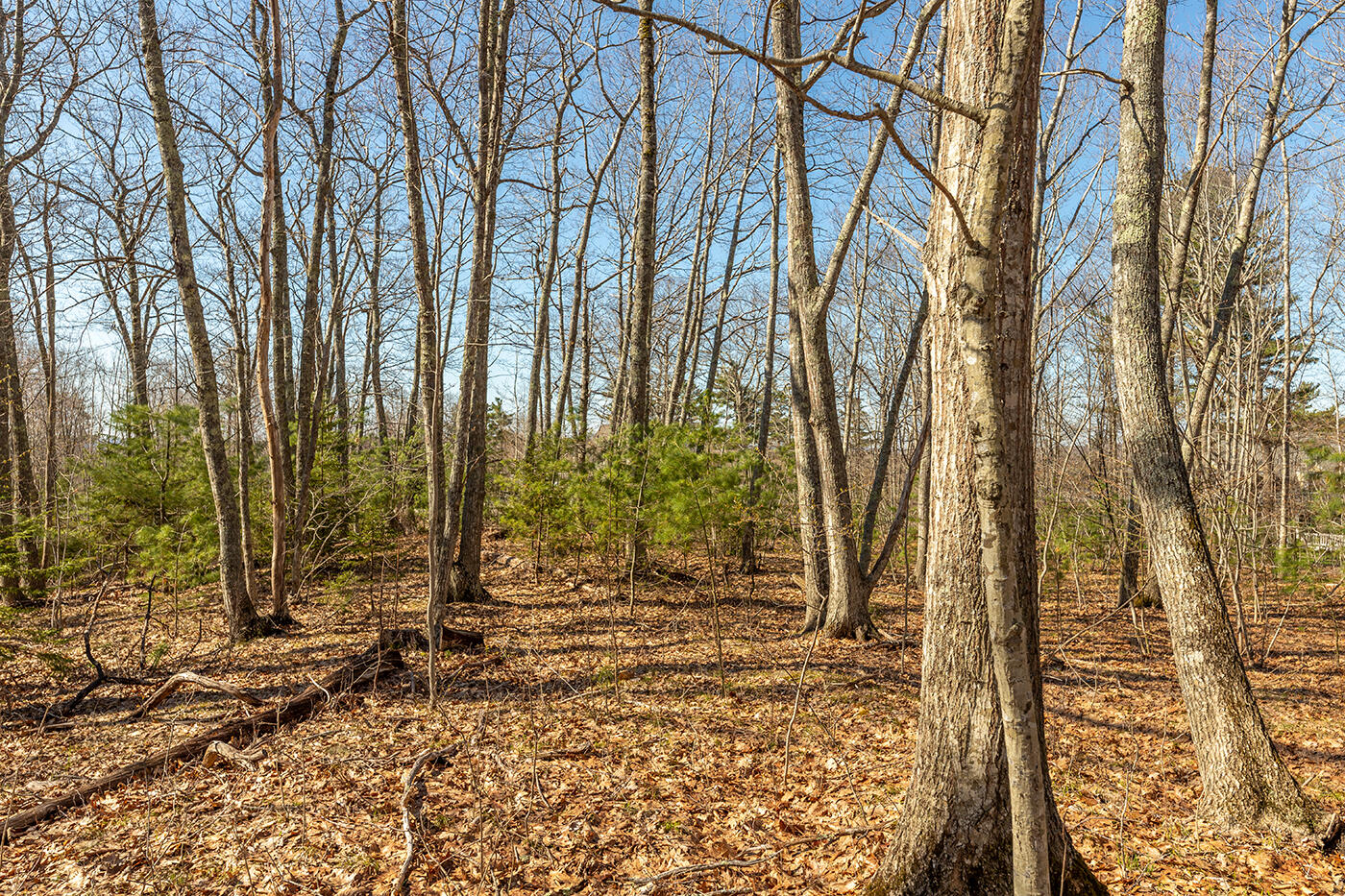 Lot 1 Bristol Drive, Rockport, ME, 04856