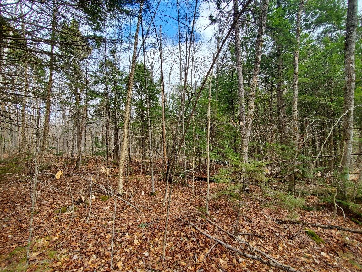 0 Sandy Beach Road, Danforth, ME, 04424