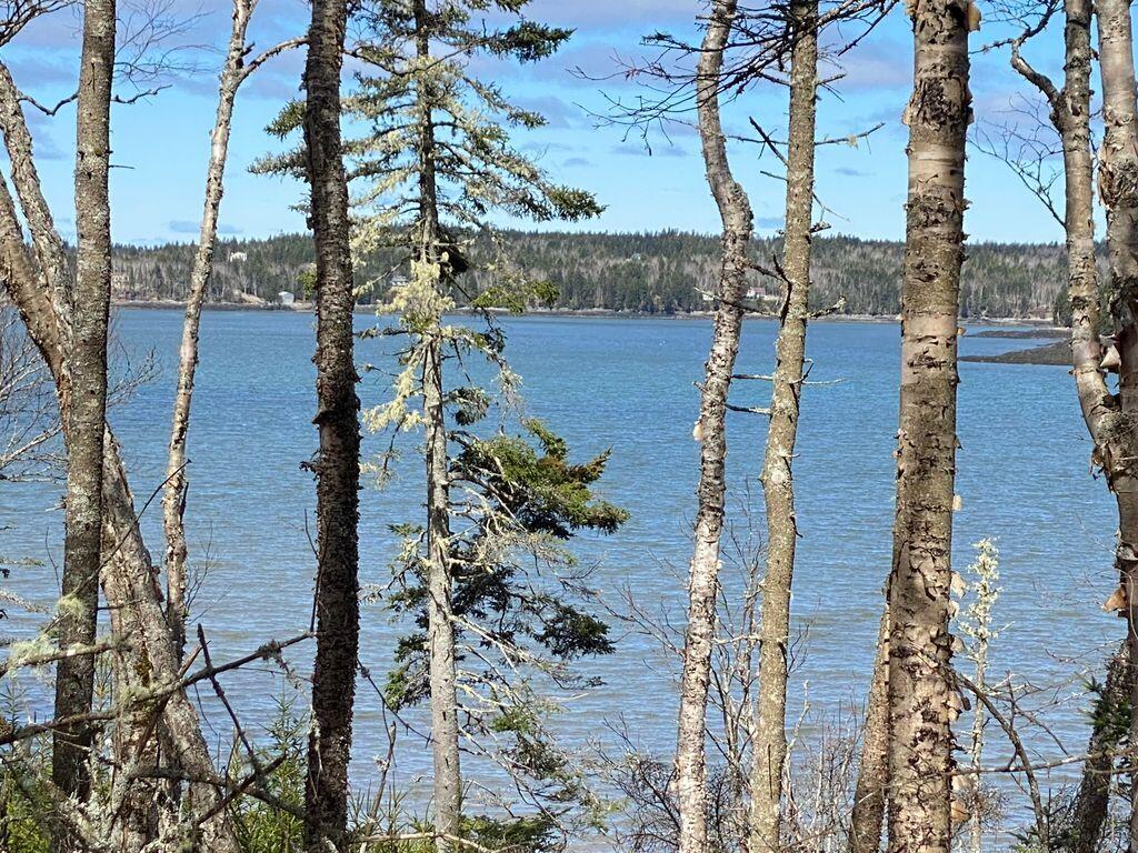 Lot 17A Yoho Head Road, Machiasport, ME, 04655