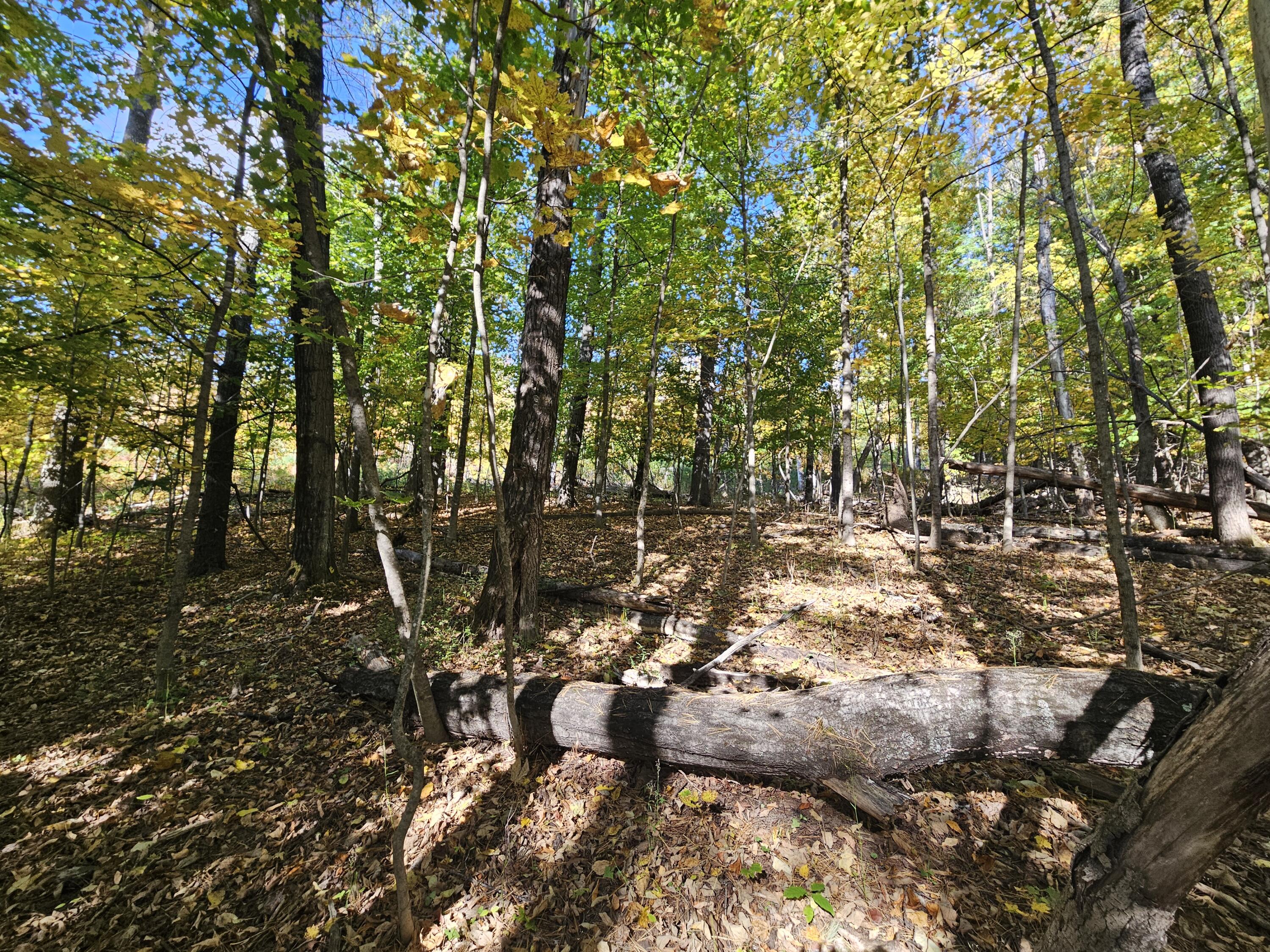 R-5 13-A Norton Hill Road, Strong, ME, 04983