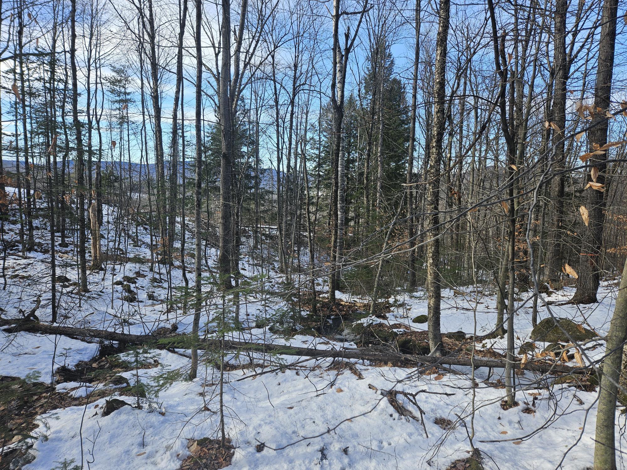 0 High Street, Peru, ME, 04290