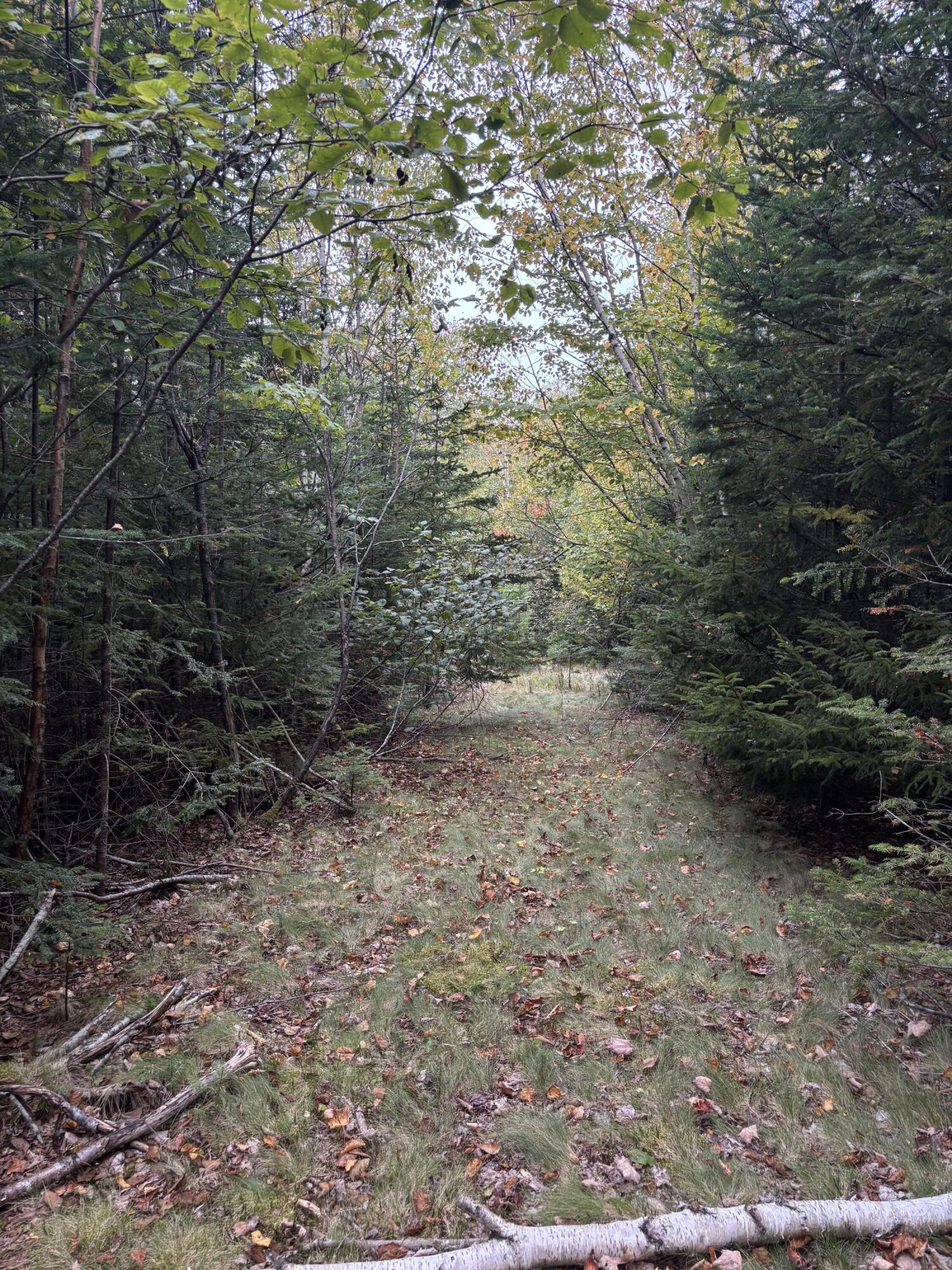 M20L2 East Side Road, Addison, ME, 04606