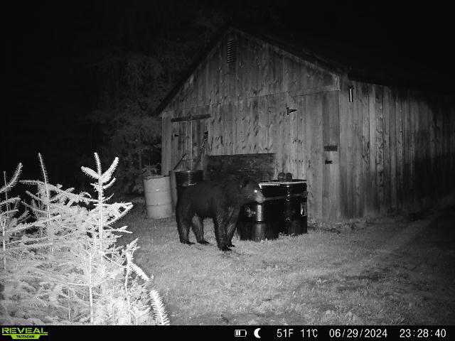 95 Morneault Road, Grand Isle, ME, 04746