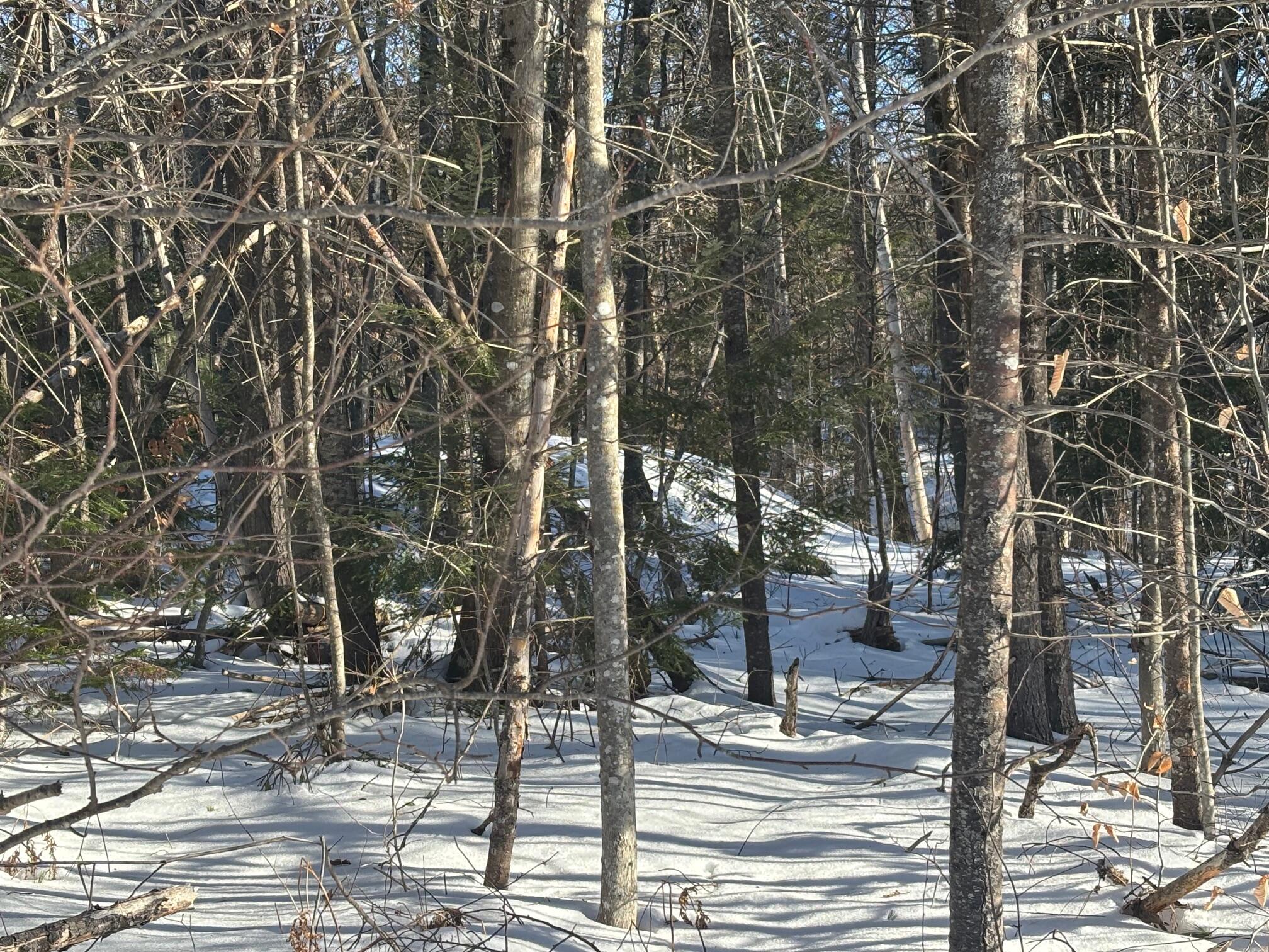 Lot 15-023 Intervale Road, Bethel, ME, 04217