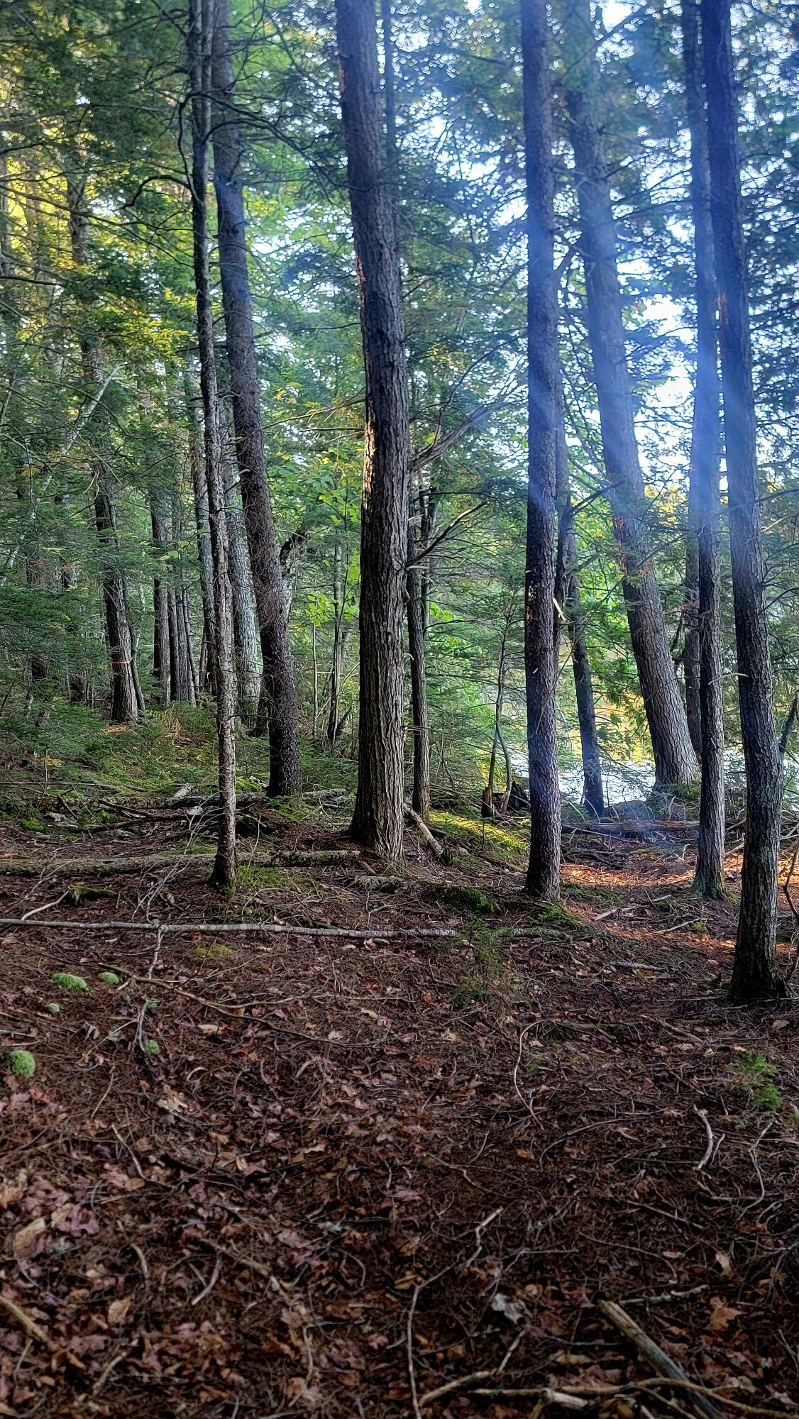 T1R8 WELS Millinocket Lake, Millinocket, ME, 04462