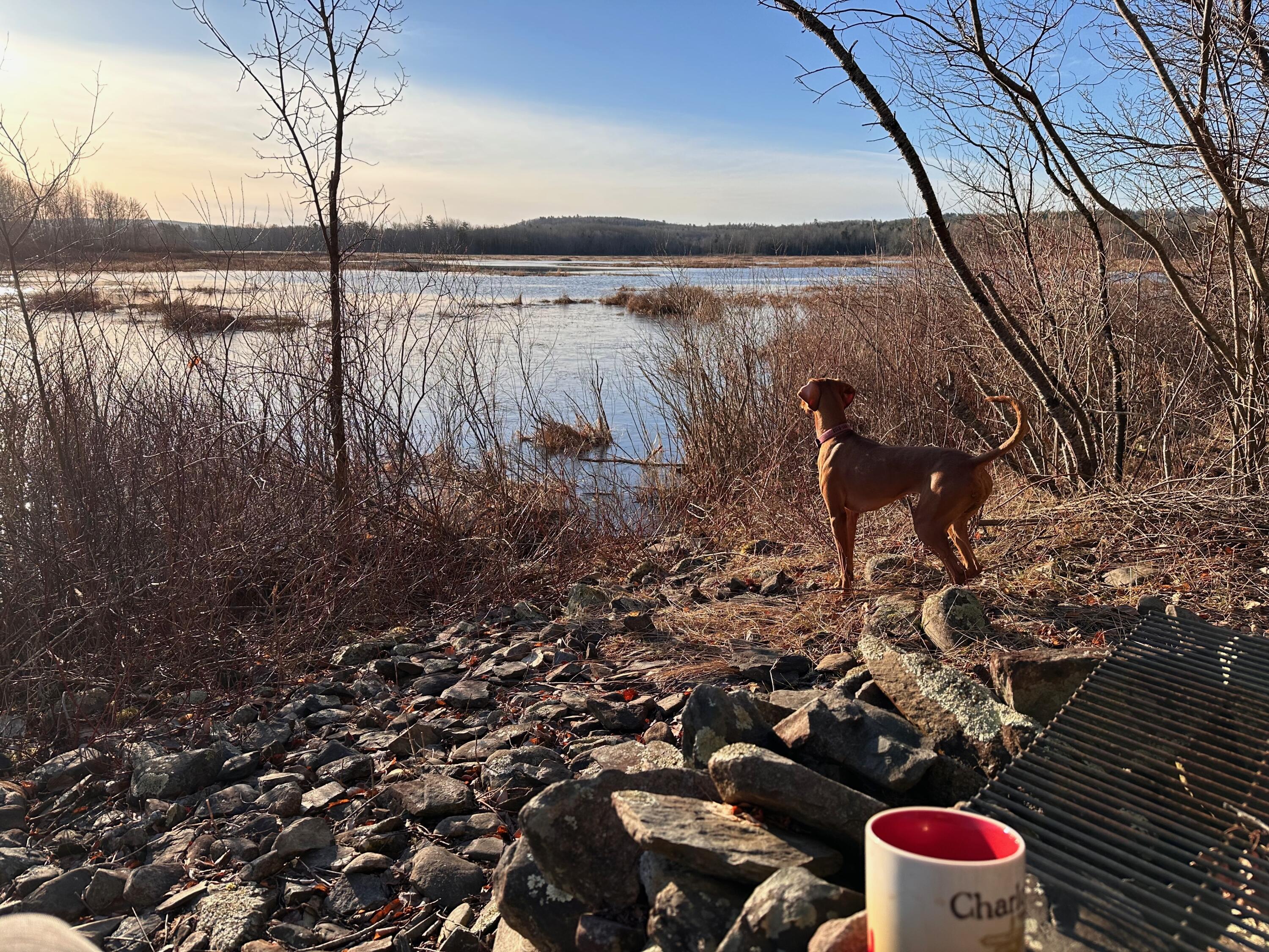 42 Fowler Road, Orrington, ME, 04474