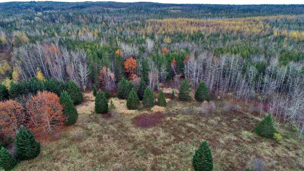 Lot 18 US RT 2 Highway, Sherman, ME, 04776