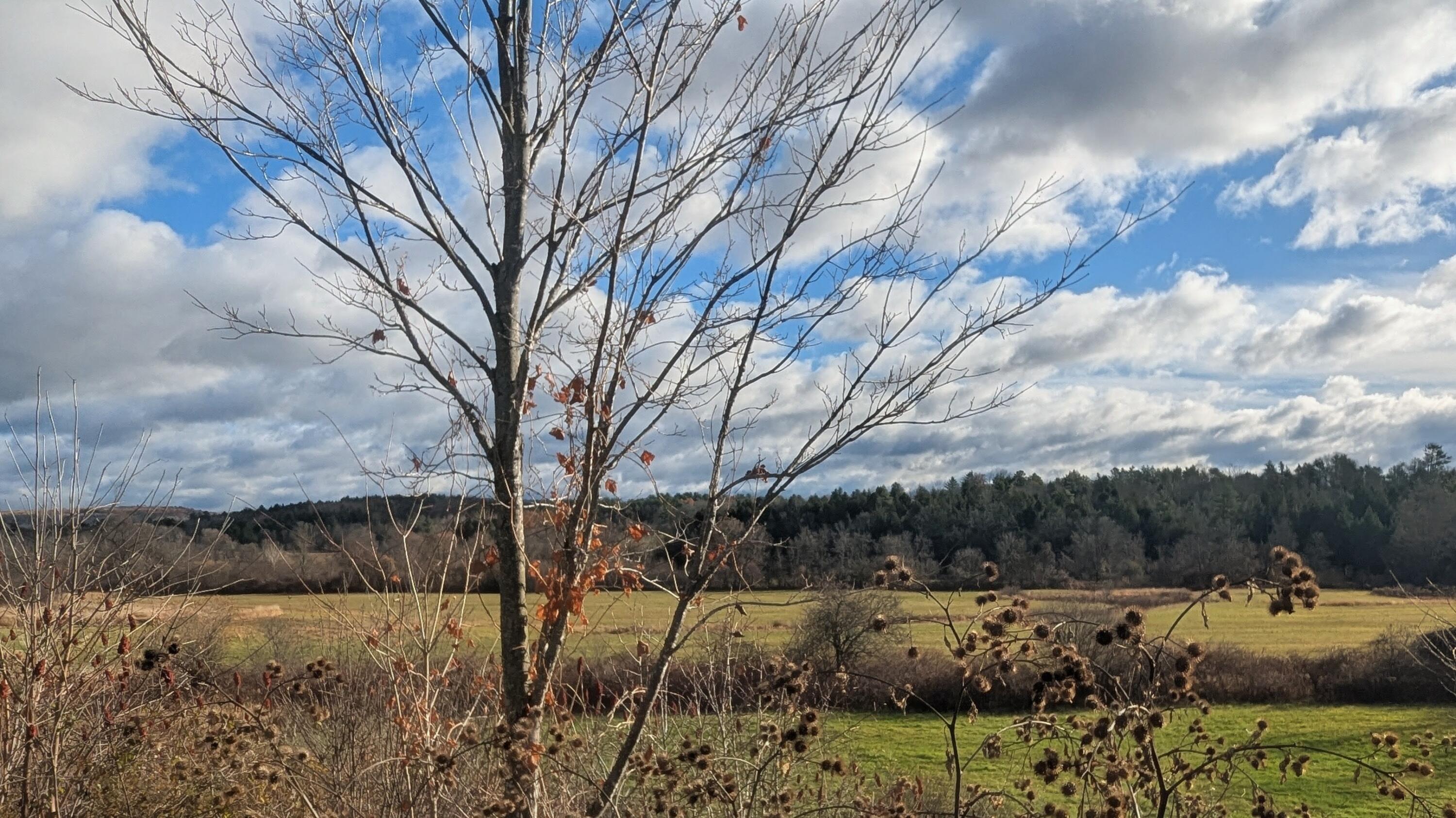 477 Malbons Mills Road, Skowhegan, ME, 04976