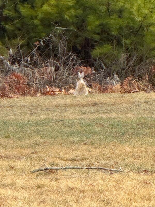 7 Silver Way, Oxford, ME, 04270