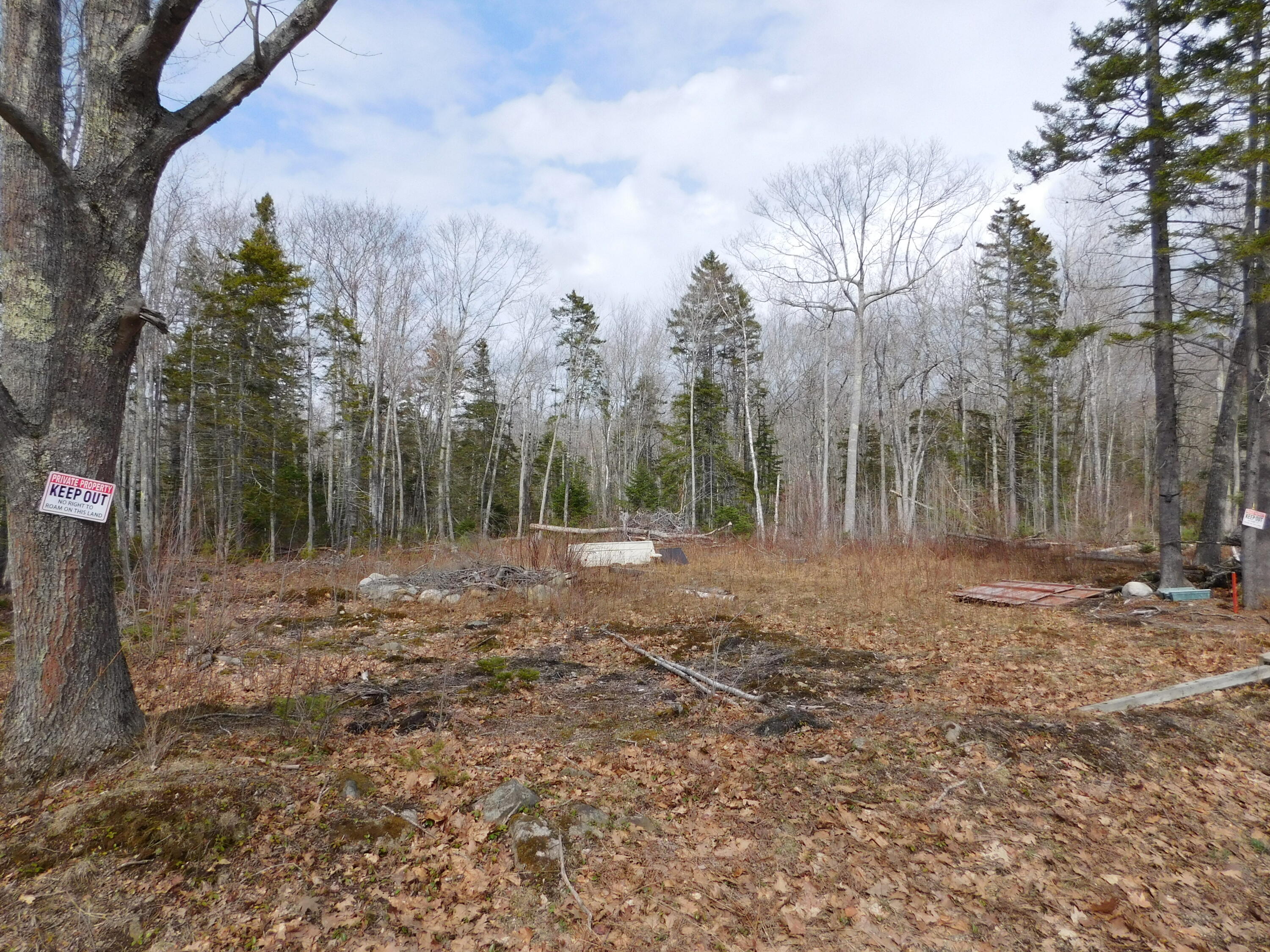 Map 15, Lot 109, Main Street, Franklin, ME, 04634