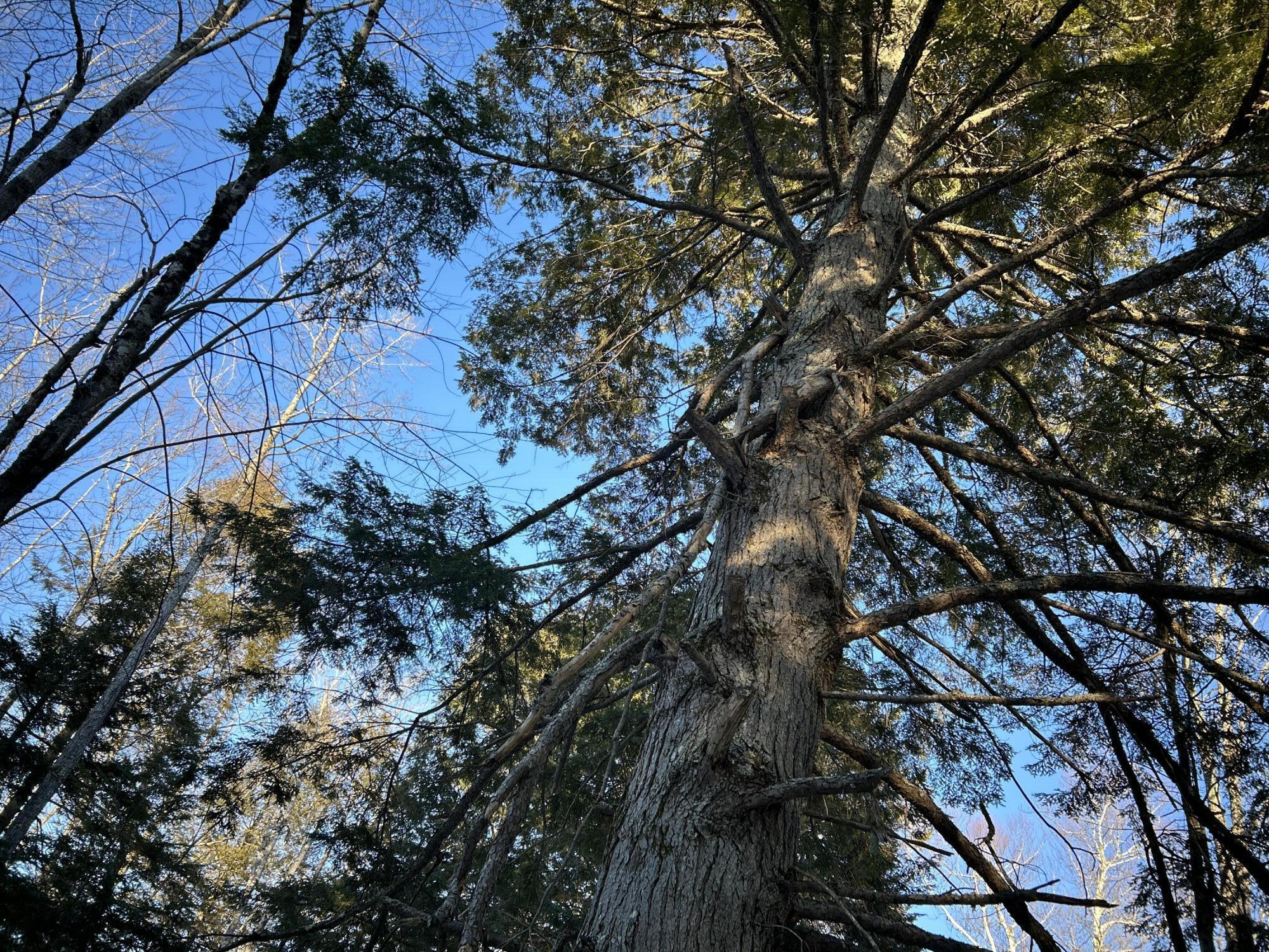 M7L22 Nelson Ridge Road N, Washington, ME, 04574