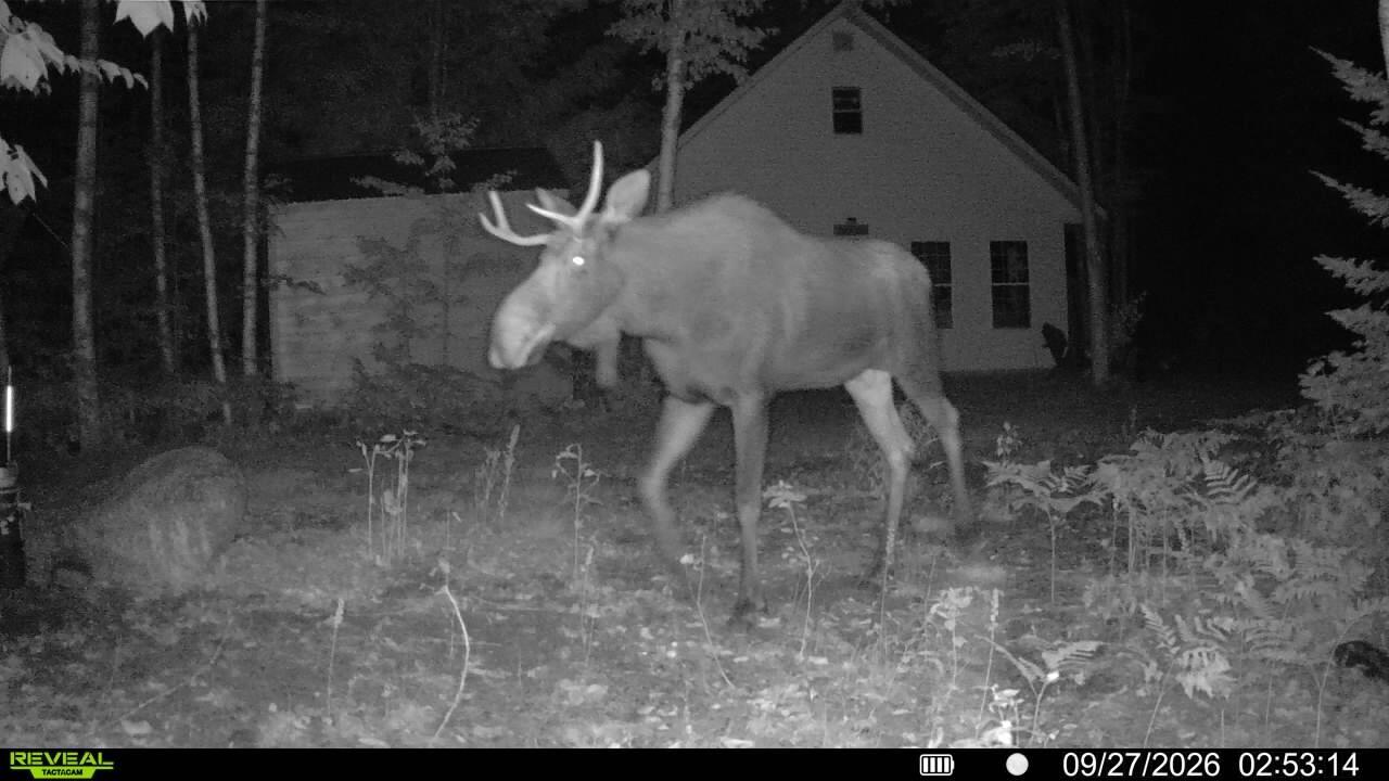 Photo of Off Route 192 Wesley ME 04686