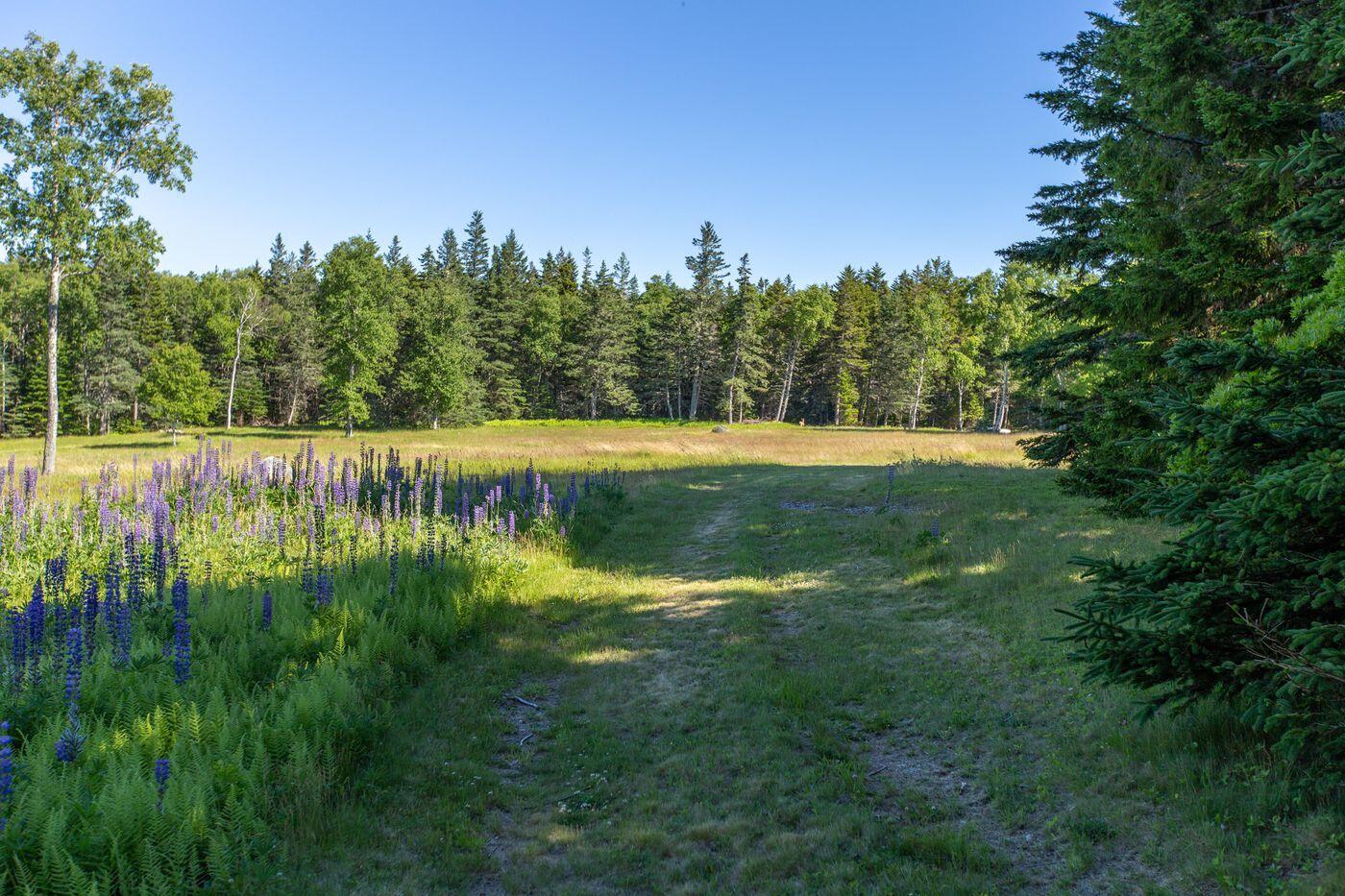 Lot 001 Sheephead Island, Deer Isle, ME, 04627