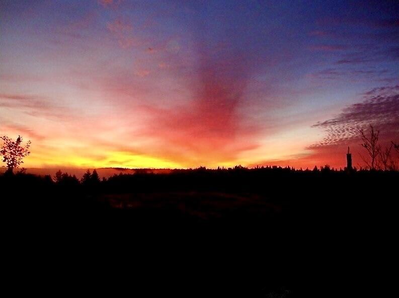 961 & 967 Newbury Neck Road, Surry, ME, 04684