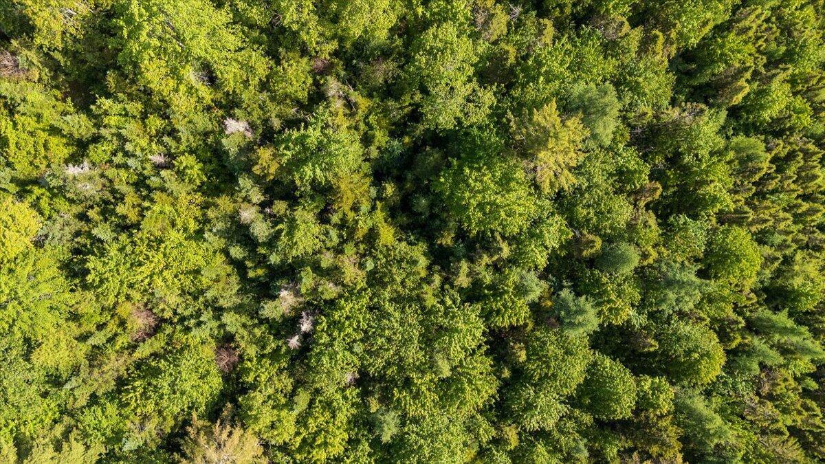 Map 7 Lot 8-1 Cushing Road, Westside, Cushing, ME, 04563