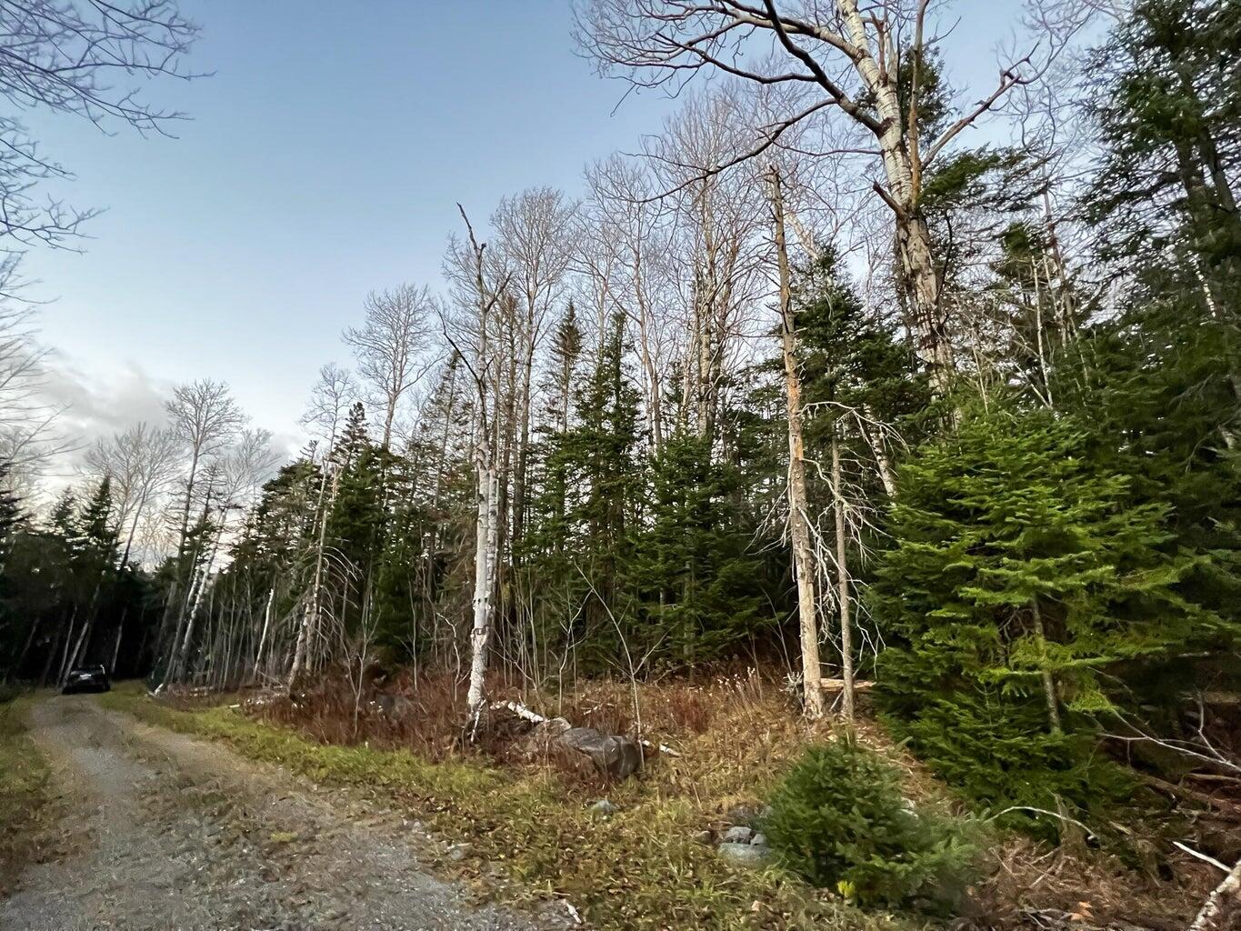 Lot 16 Mill Brook Road, Sandy River Plt, ME, 04970