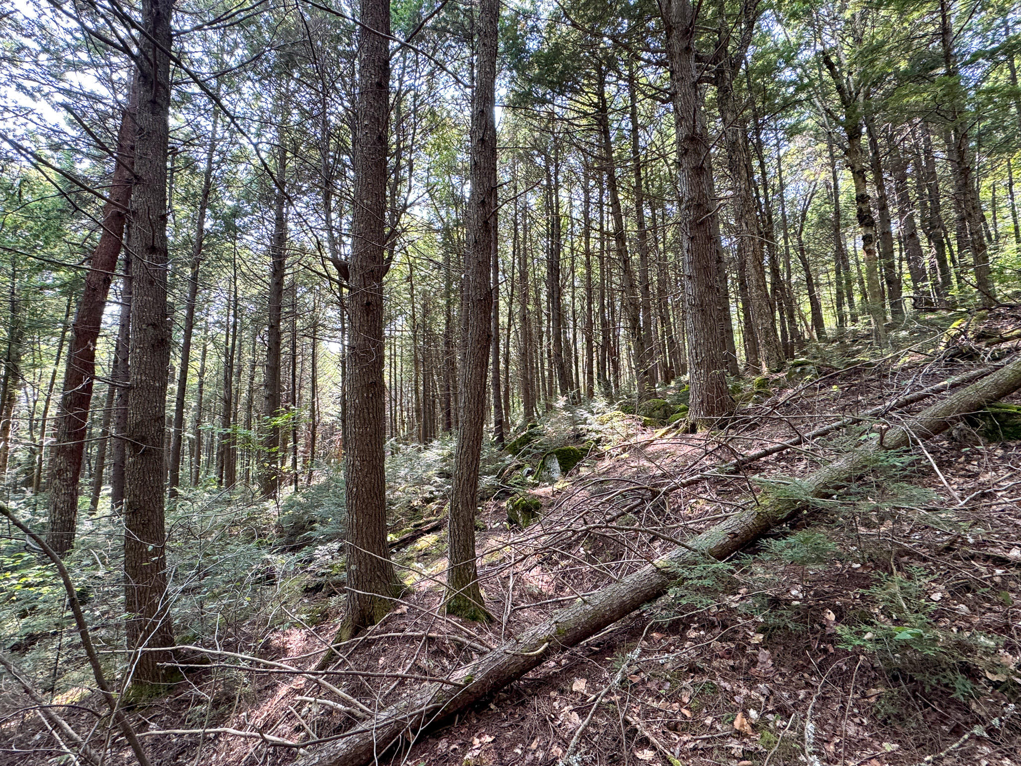 P/O M29L23 Bluff Road, Enfield, ME, 04493