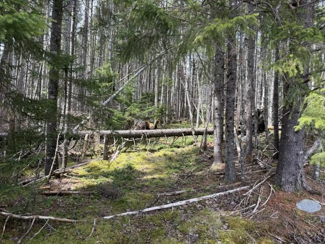 Photo of Lot 6 Holmes Bay Farms Road Whiting ME 04691