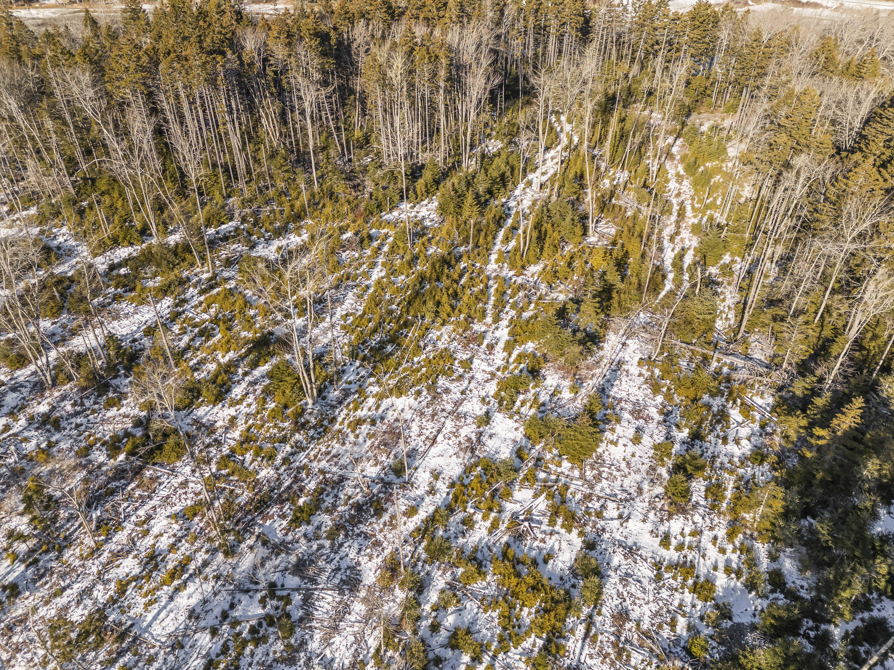 Lot 54B Harrington Cove Road, Saint George, ME, 04859