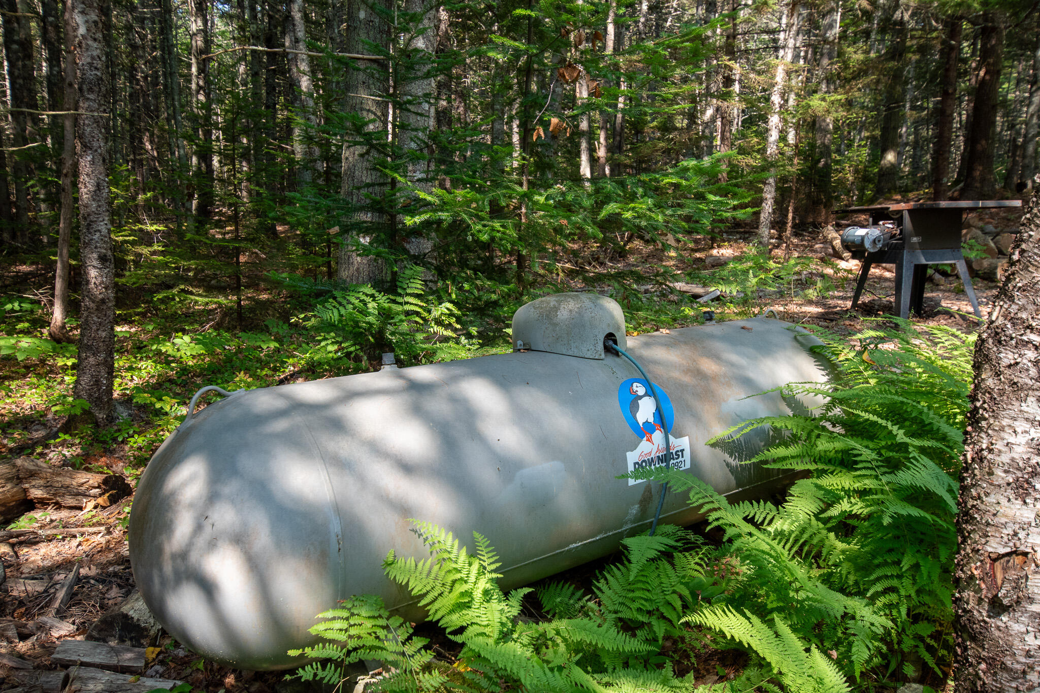 14 Pinkie Lane, Southport, ME, 04576