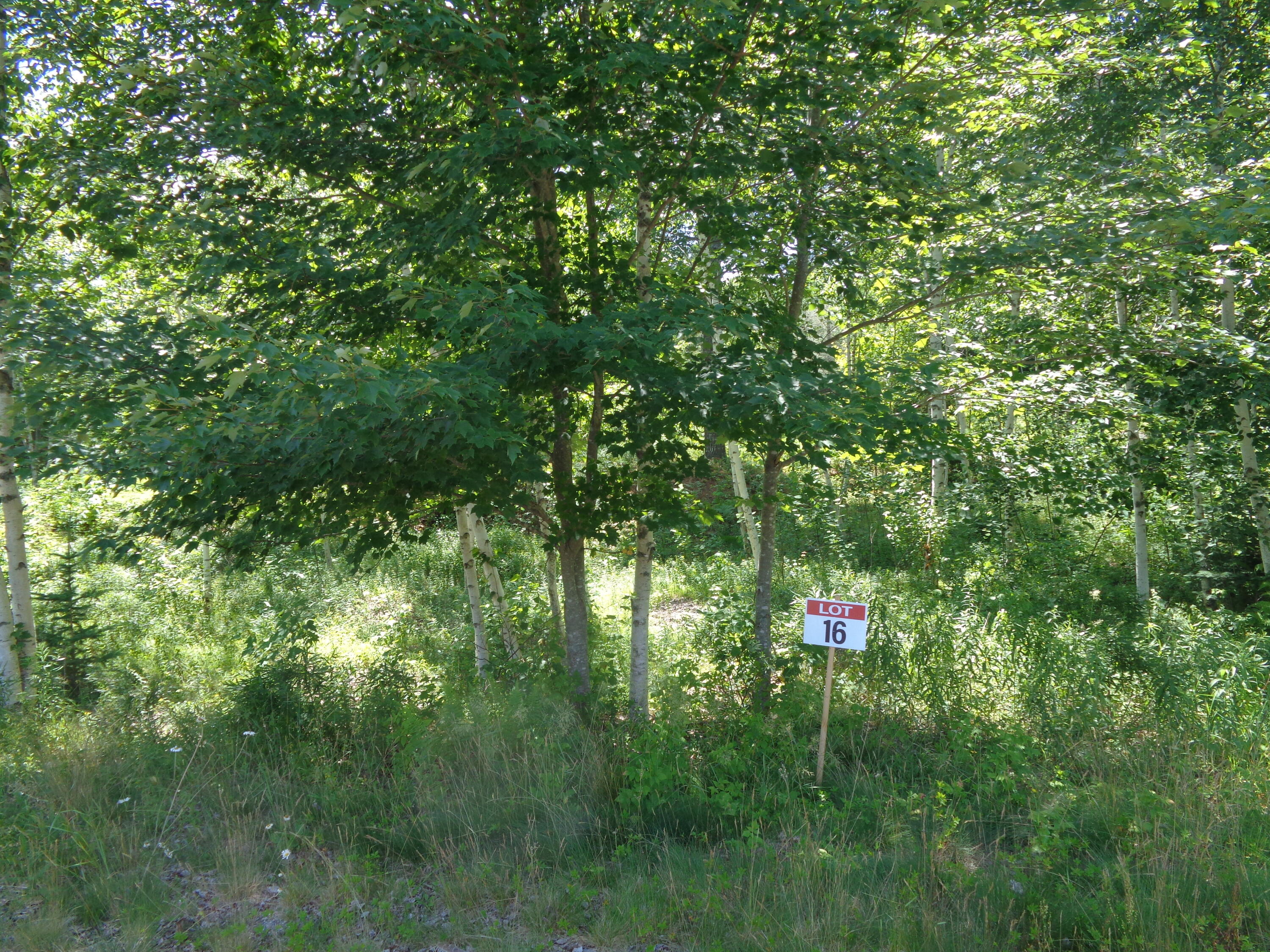 Photo of Lot 16 Bailey Mountain Road Franklin ME 04634