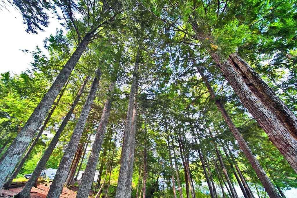 638 Sandy Beach Road, Danforth, ME, 04424