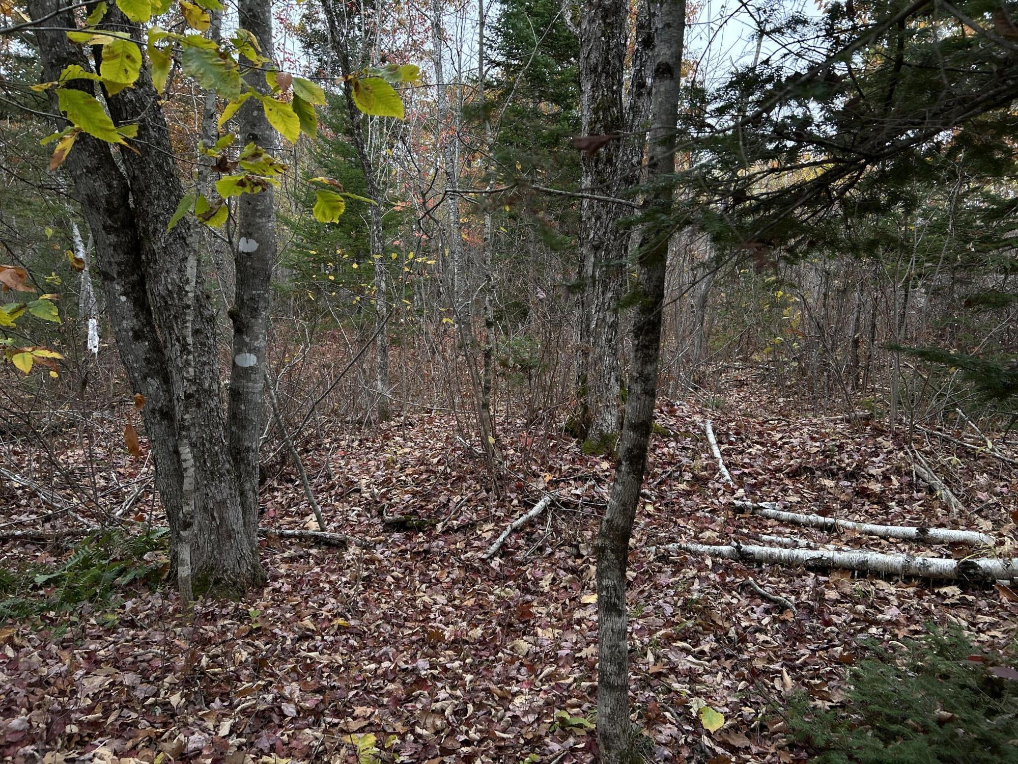 M4L18 Bog Road, Jackson, ME, 04921