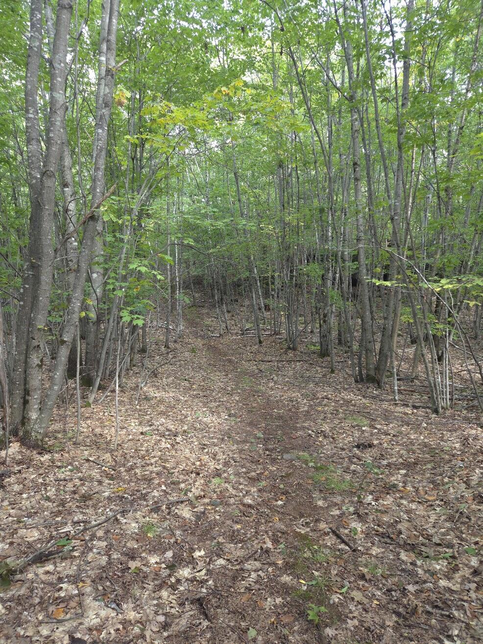 125 High Street, West Paris, ME 04289 Walking Trails on Property