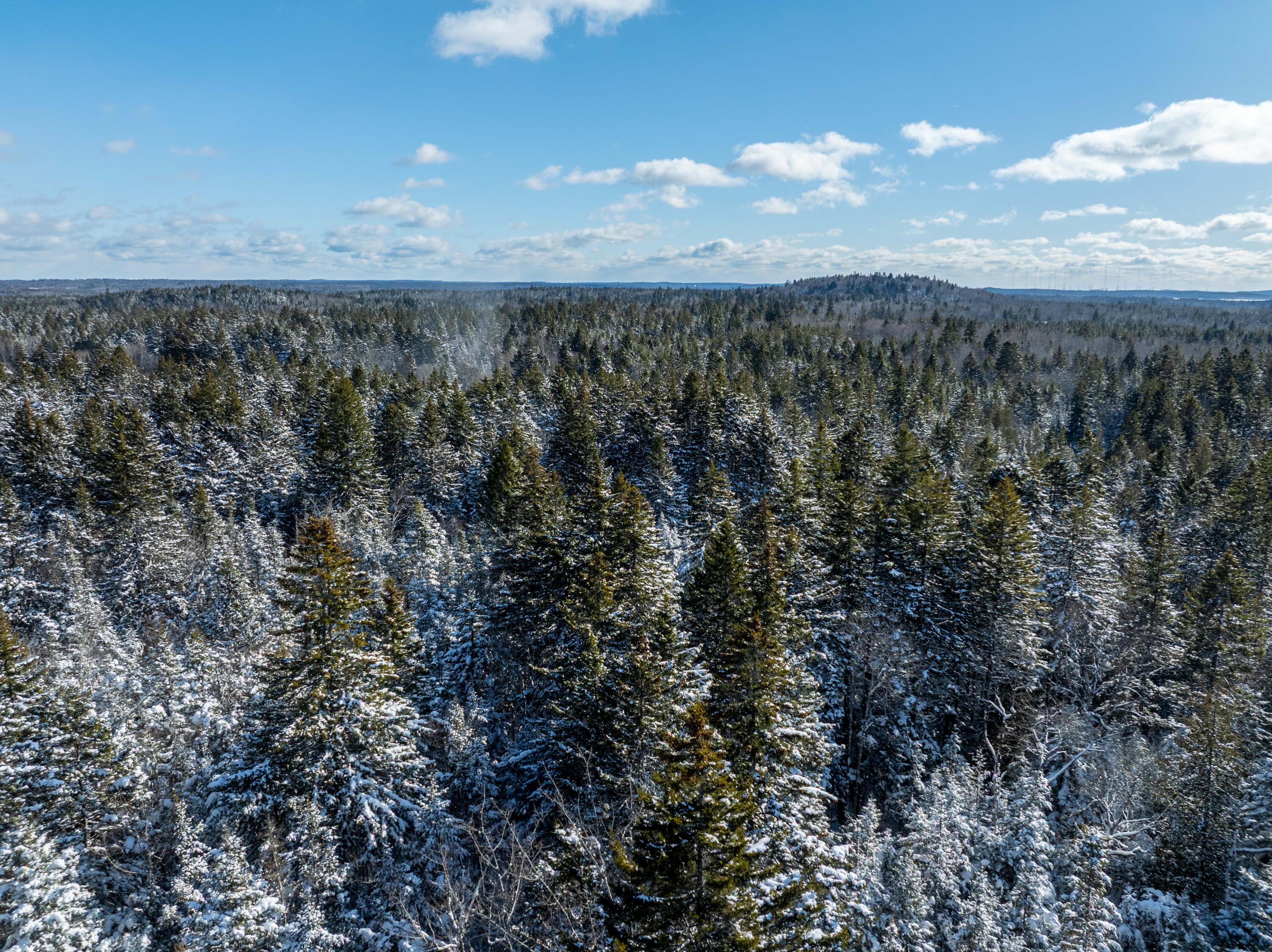 Undisclosed Address, Whiting, ME, 04691