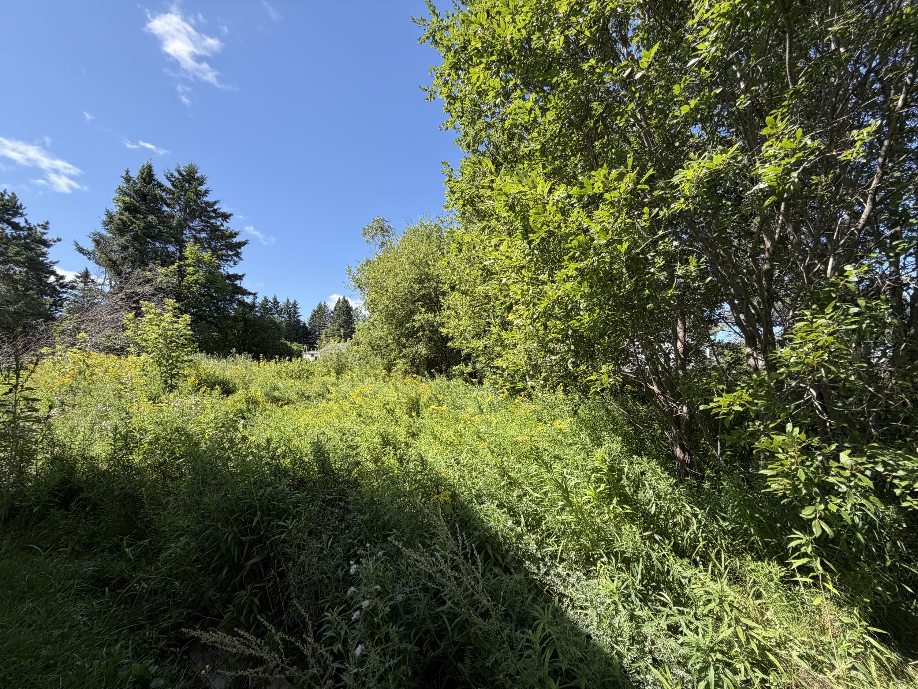Photo of 19 Katahdin Avenue Caribou ME 04736