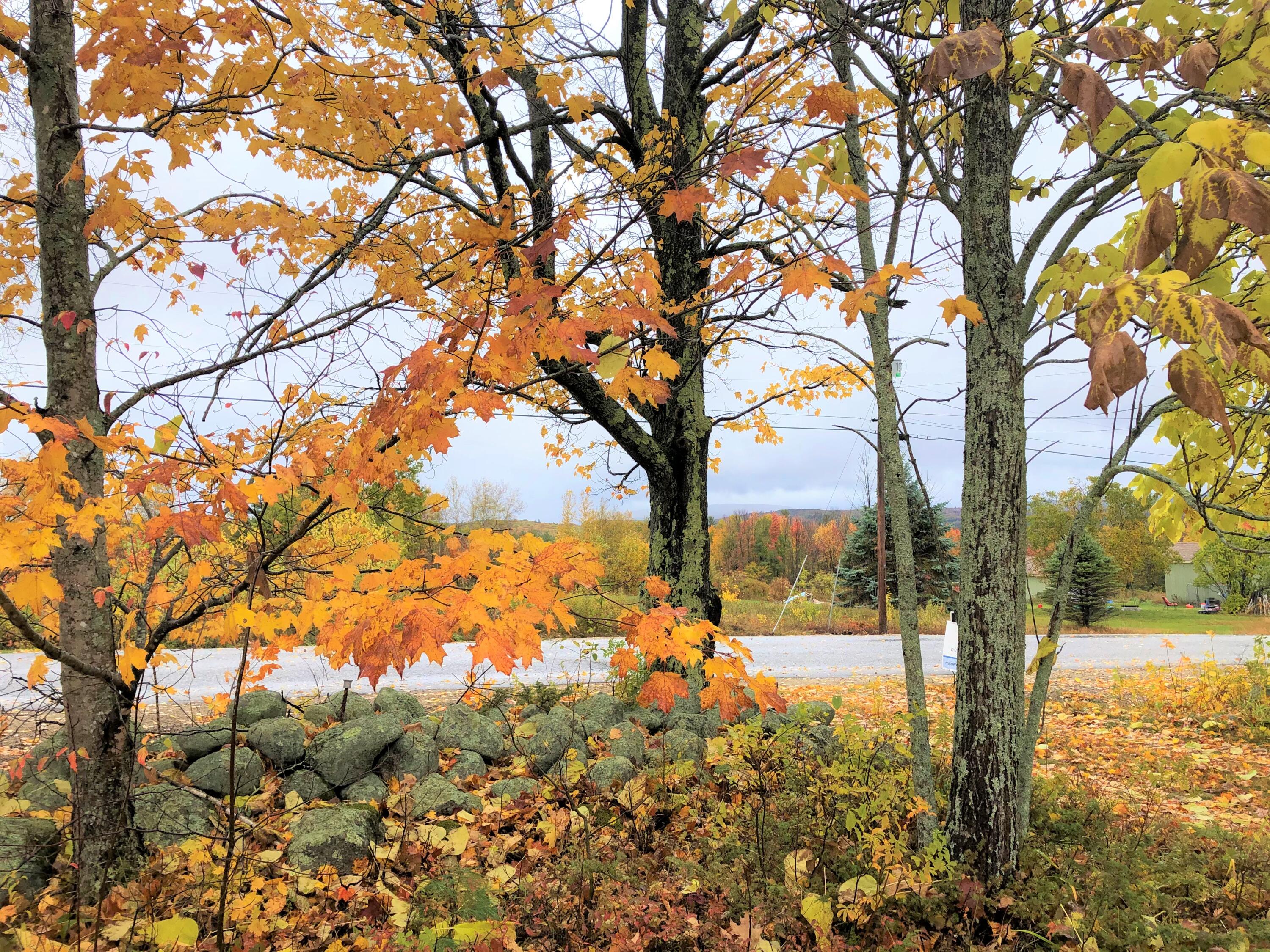 134 Peaco Hill Road, Otisfield, ME, 04270