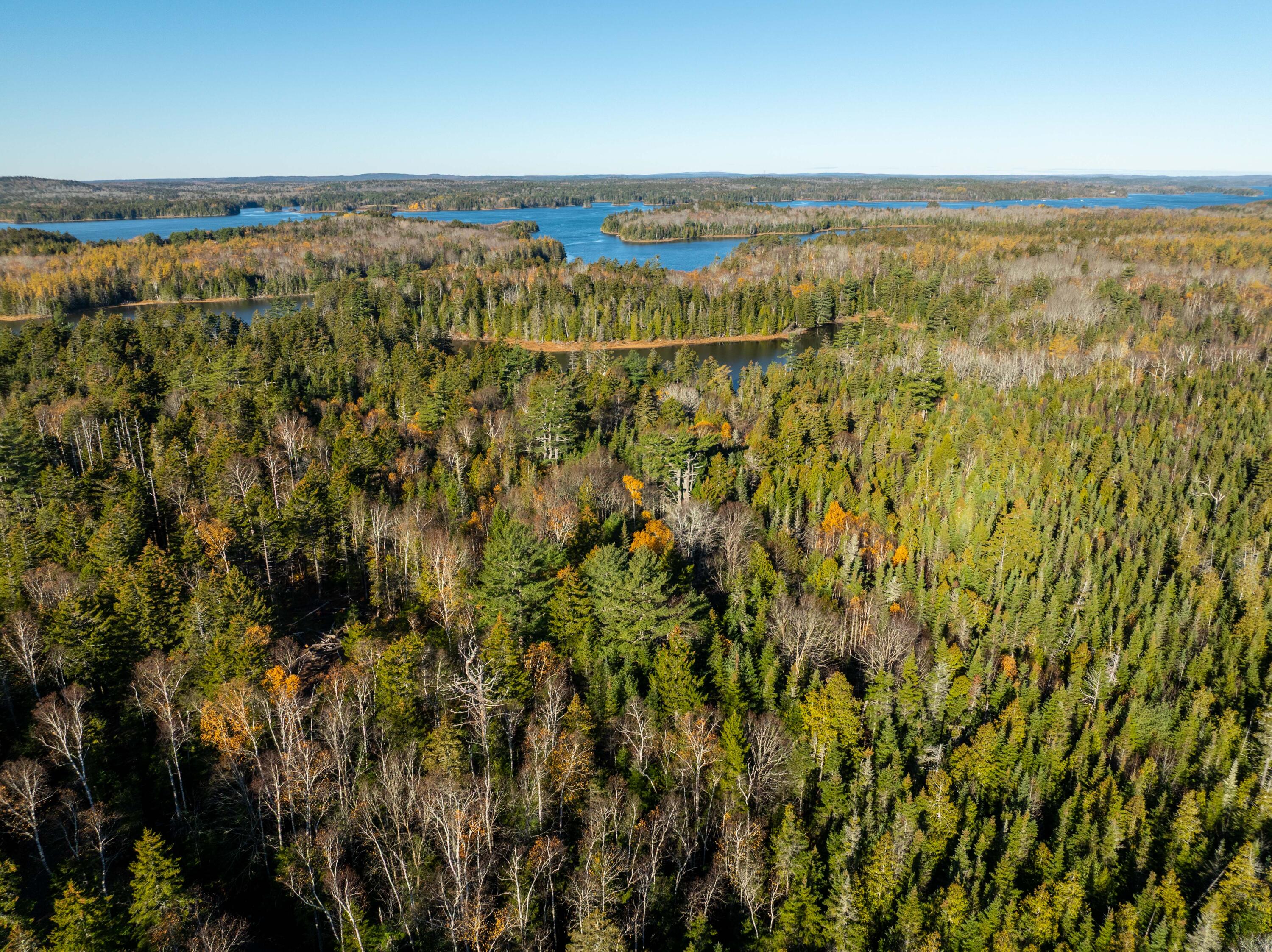 01-4 WA035, Trescott Twp, ME, 04652
