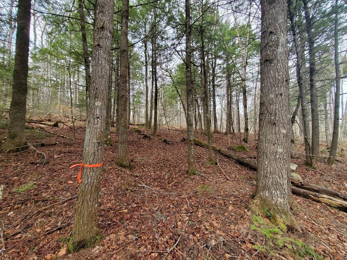 0 Sandy Beach Road, Danforth, ME, 04424