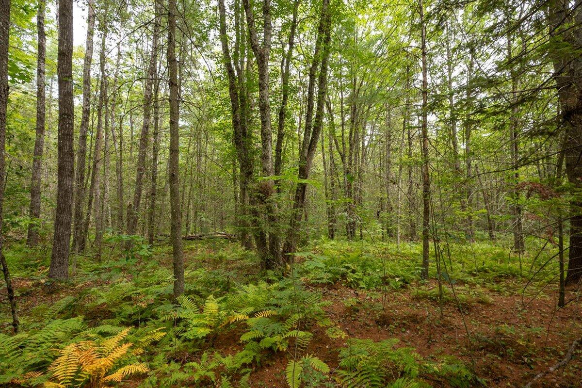 Part of Map 7 Lot 48-A Nelson Ridge Road S, Washington, ME, 04574