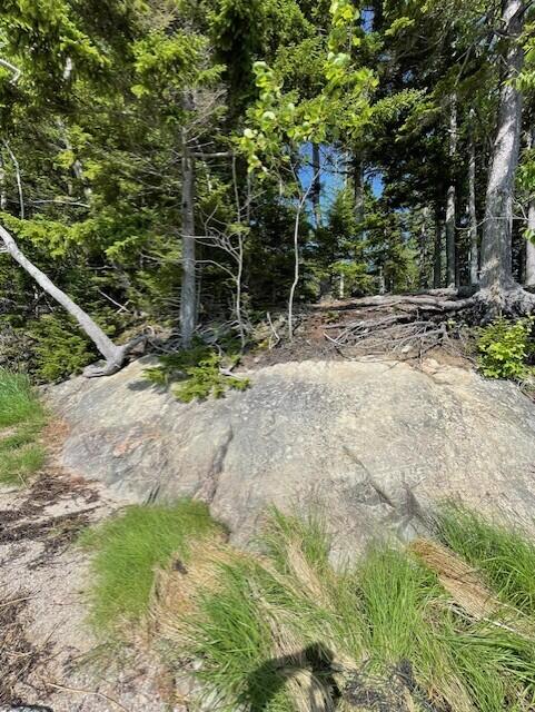 Lot 15-5 Fort Williams Road, Harrington, ME, 04643