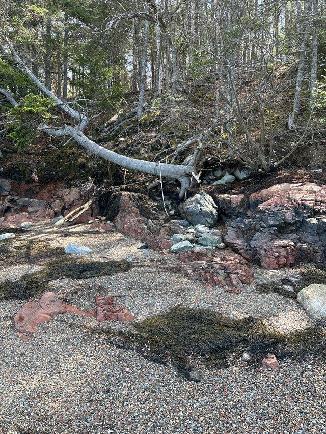 Lot 17A Yoho Head Road, Machiasport, ME, 04655