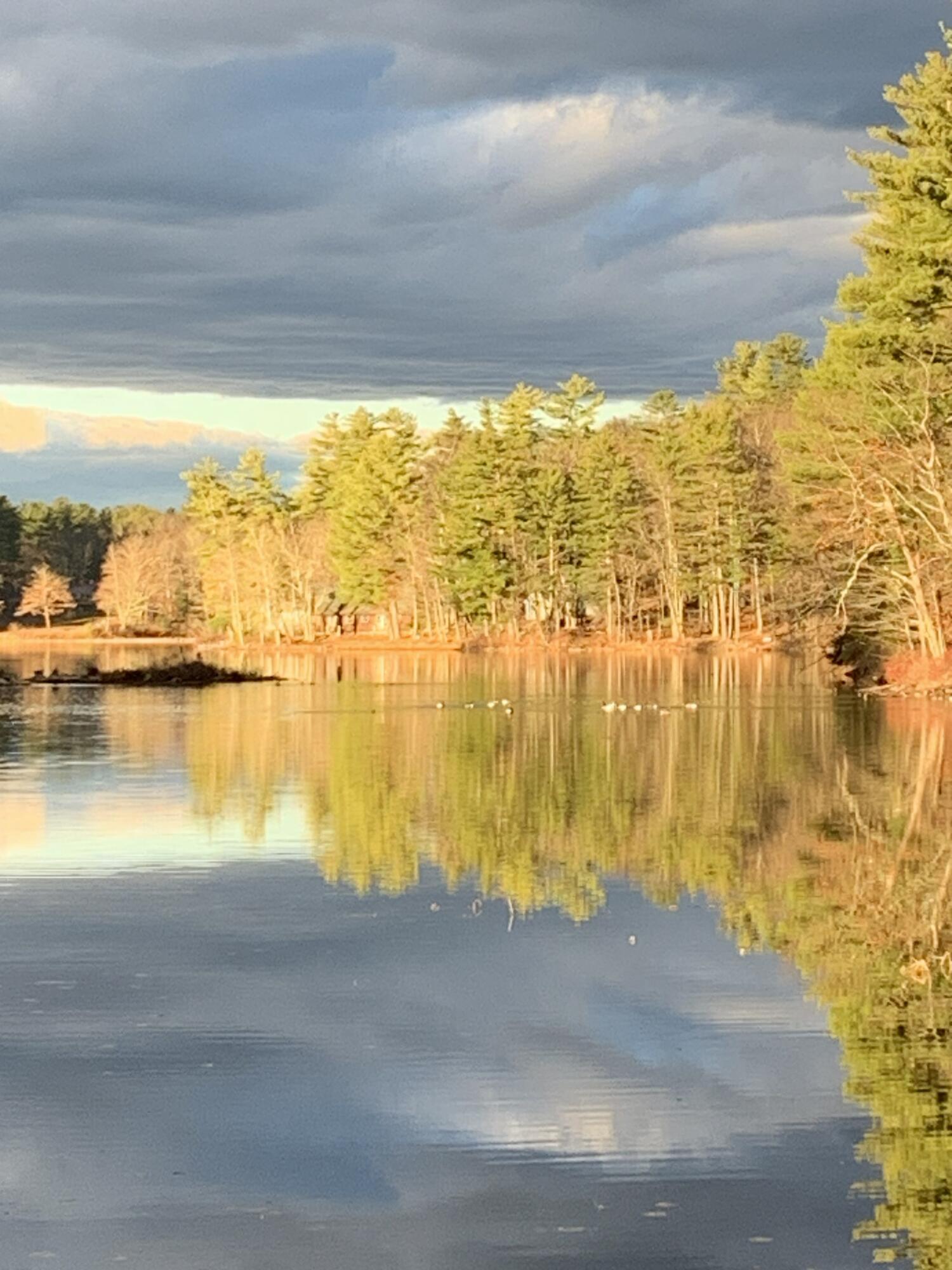 Late Fall