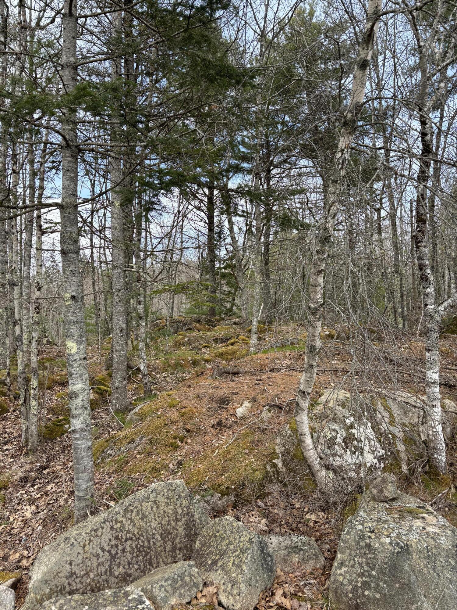 Lot 9 Aspen Drive, South Thomaston, ME, 04858