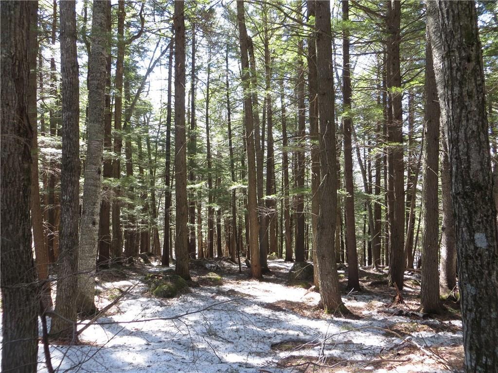 Lot 67 Snowbird Lane, Newry, ME, 04261