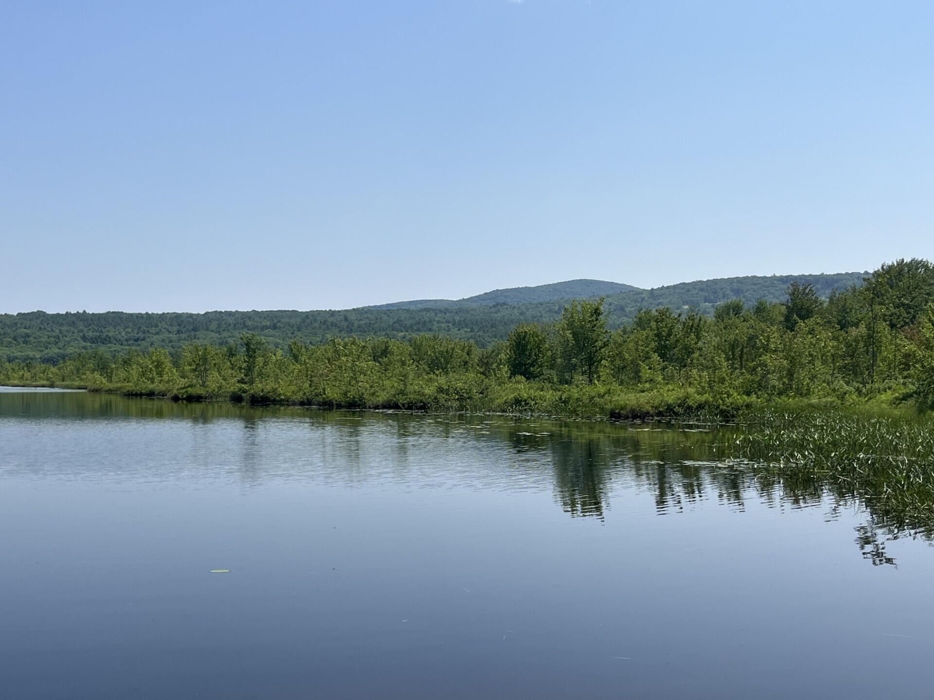 Moose Pond