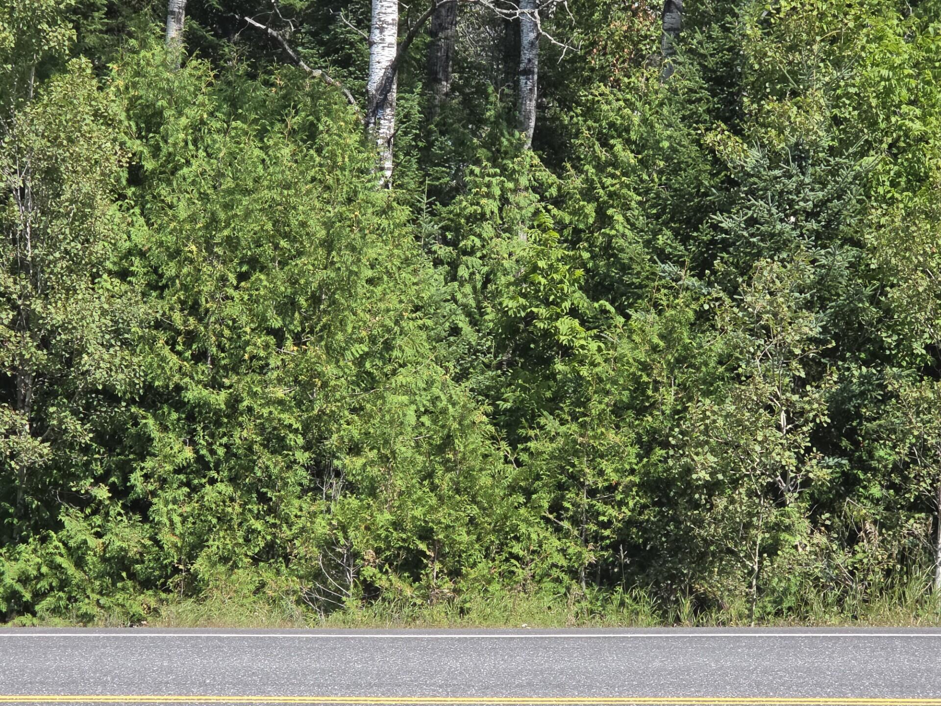 Photo of M6L10 New Sweden Road Stockholm ME 04783