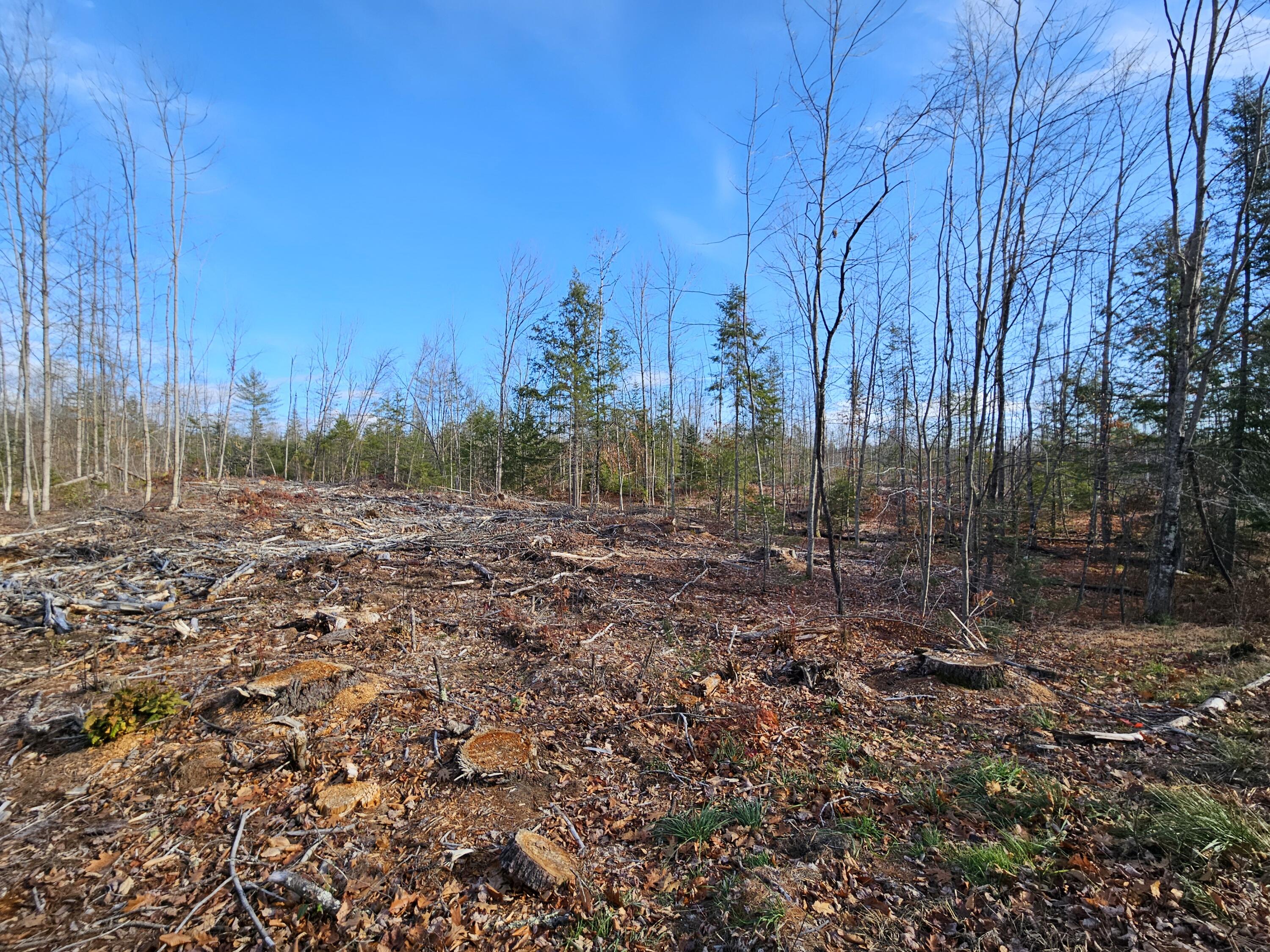 M-3 L-33-5 Cape Cod Hill Road, New Sharon, ME, 04955