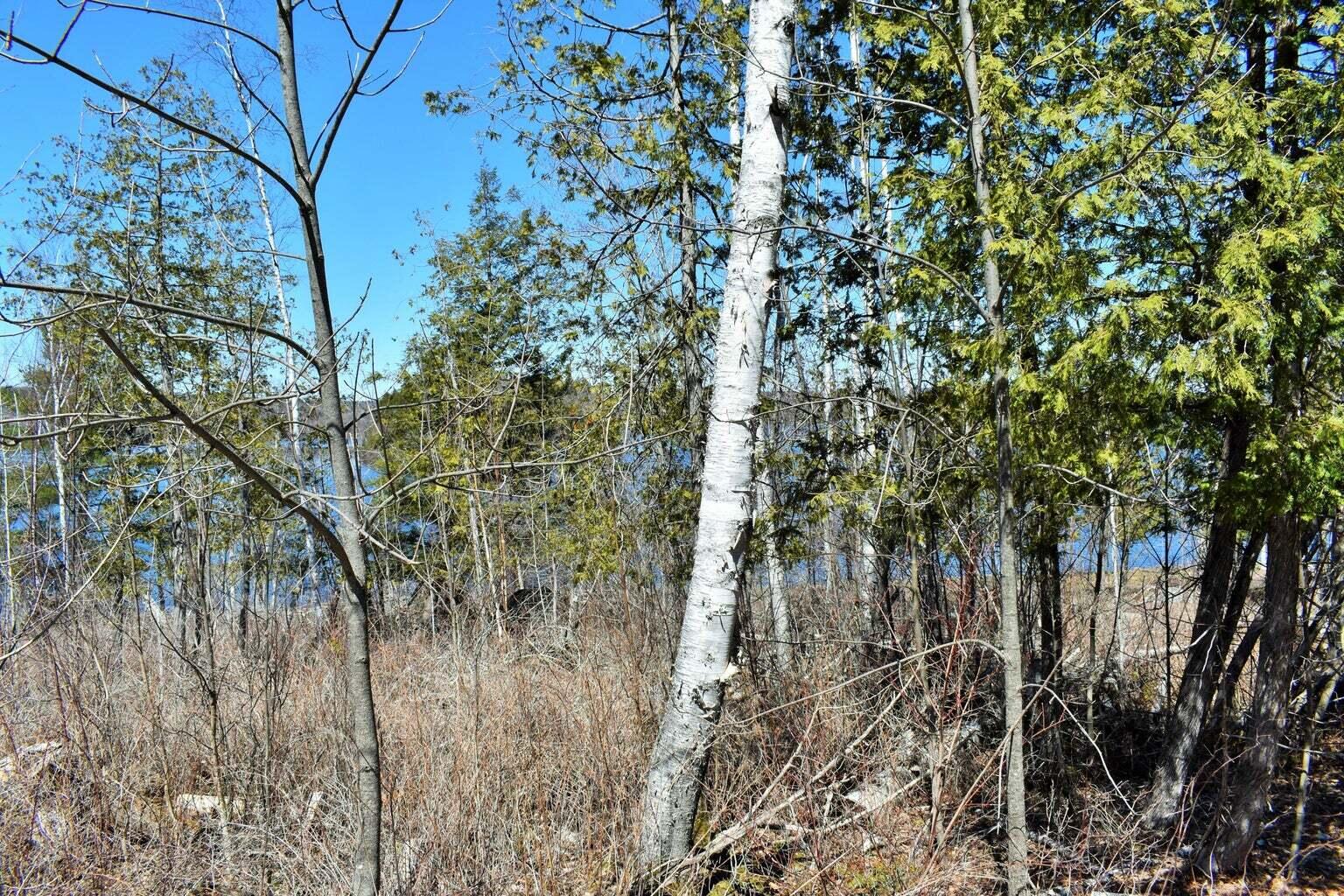 PO72,P090 Cotta Lane & RT 43, Saint Albans, ME, 04971